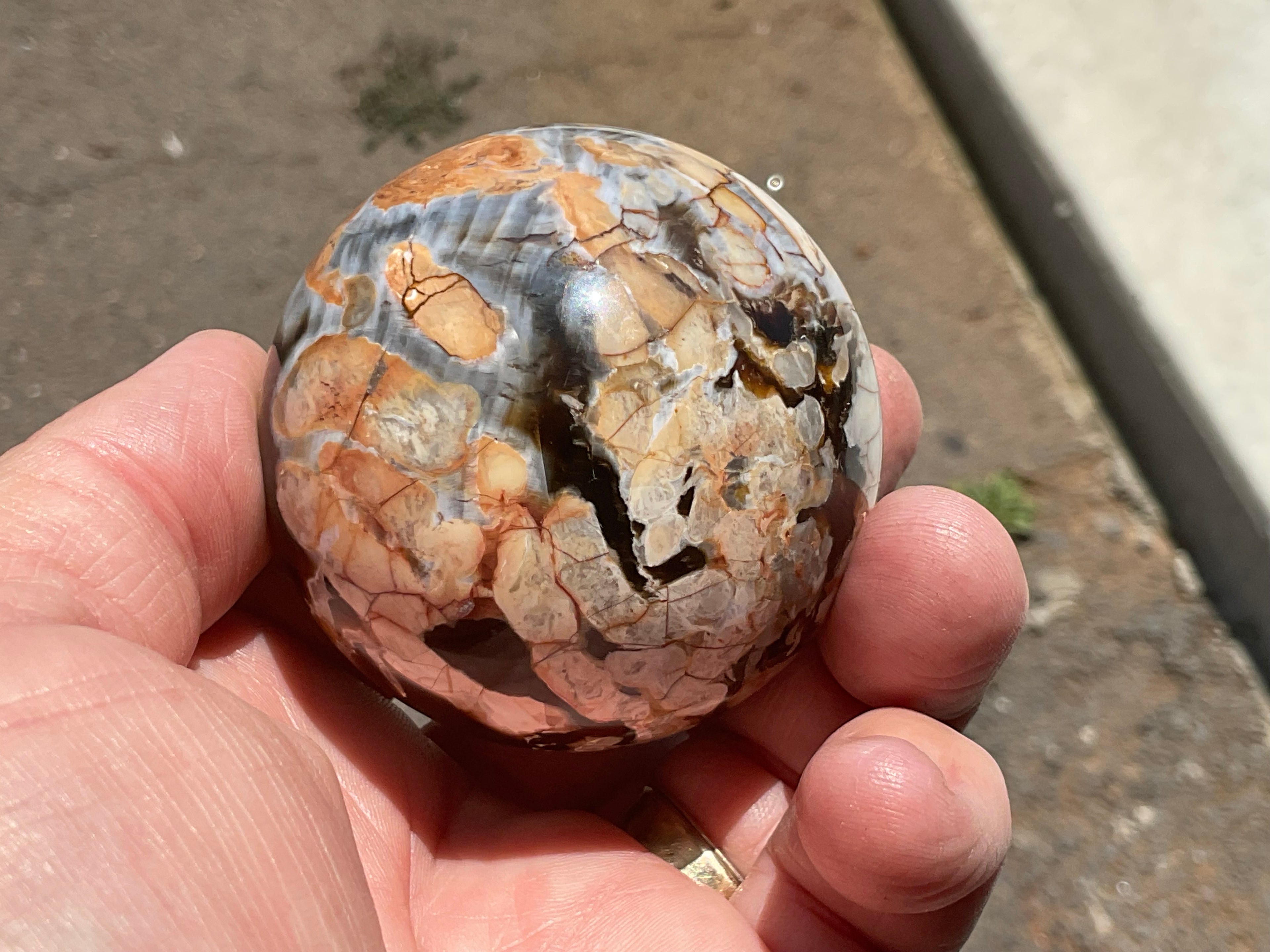 222g Western Australian “Peanut Wood” Sphere 2A