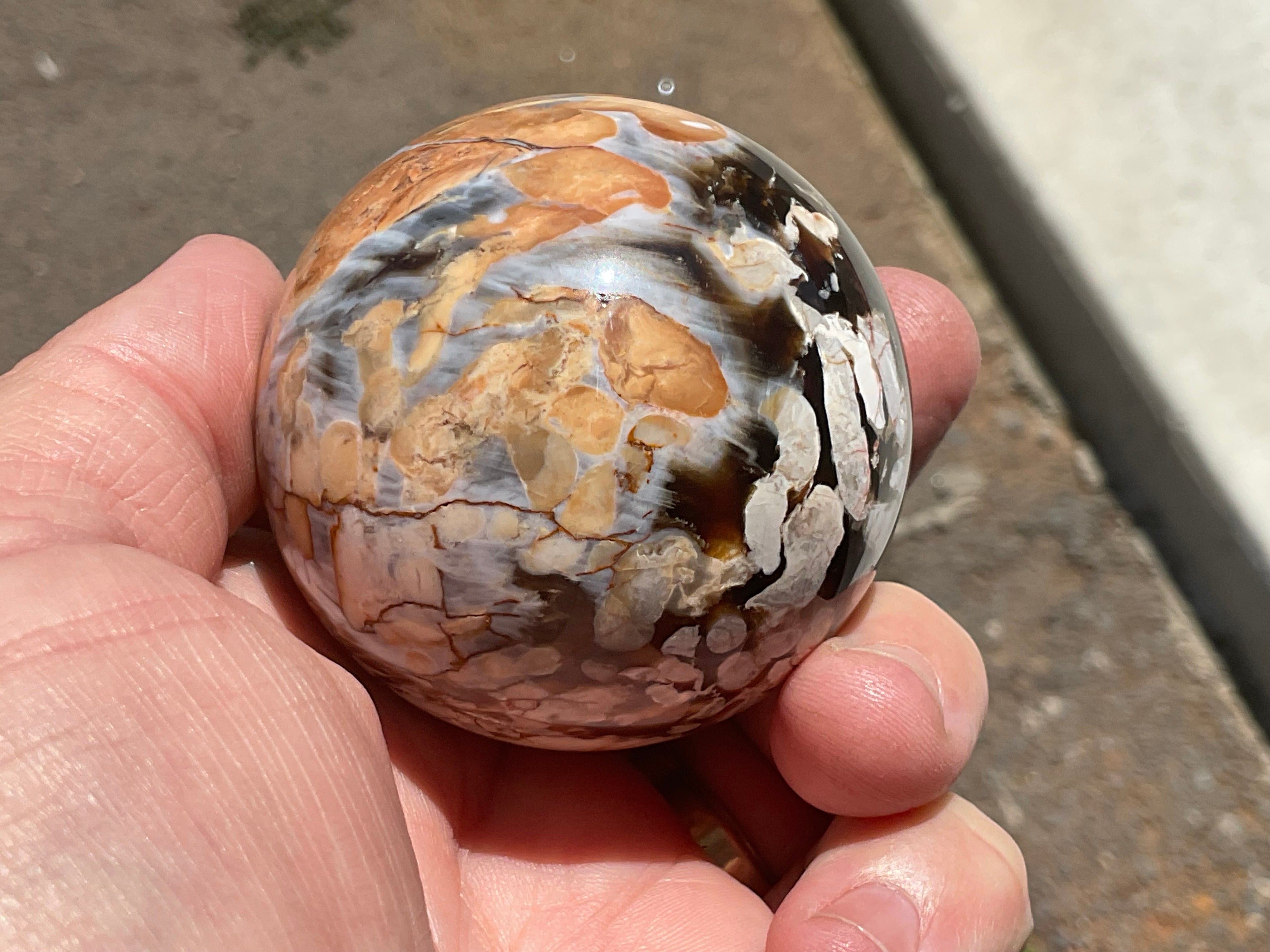 222g Western Australian “Peanut Wood” Sphere 2A
