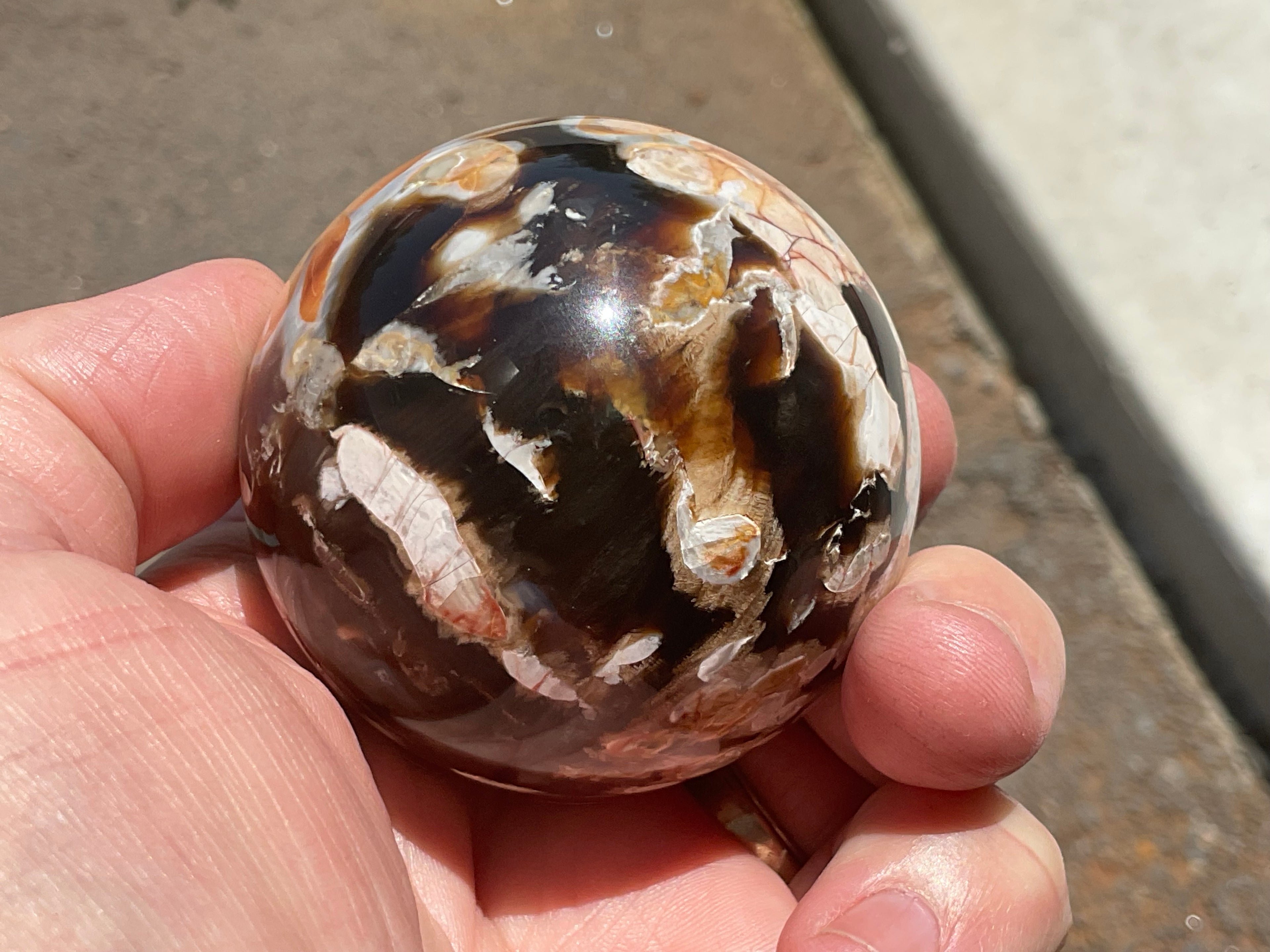 222g Western Australian “Peanut Wood” Sphere 2A