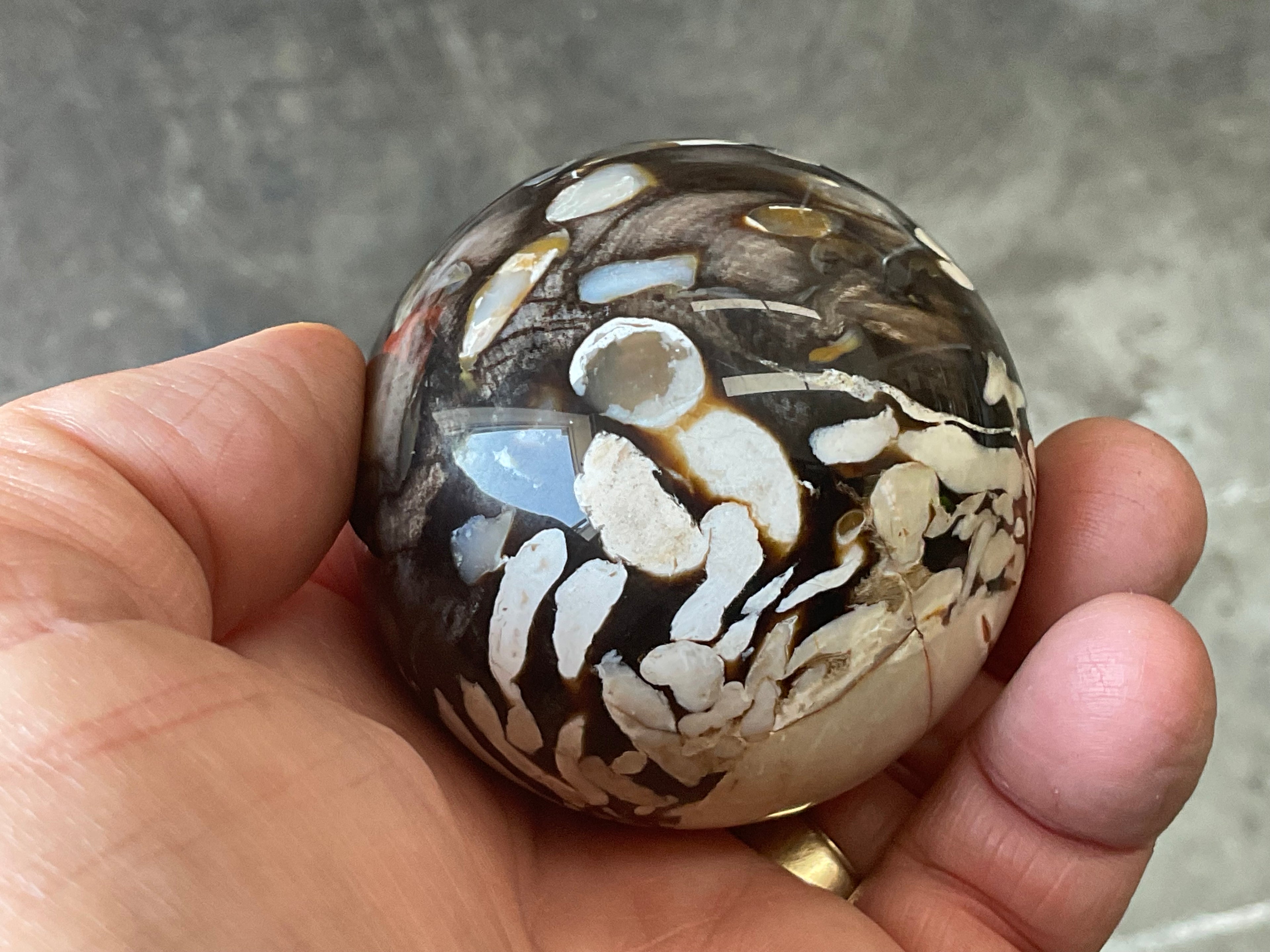 252g Western Australian “Peanut Wood” Sphere 2B