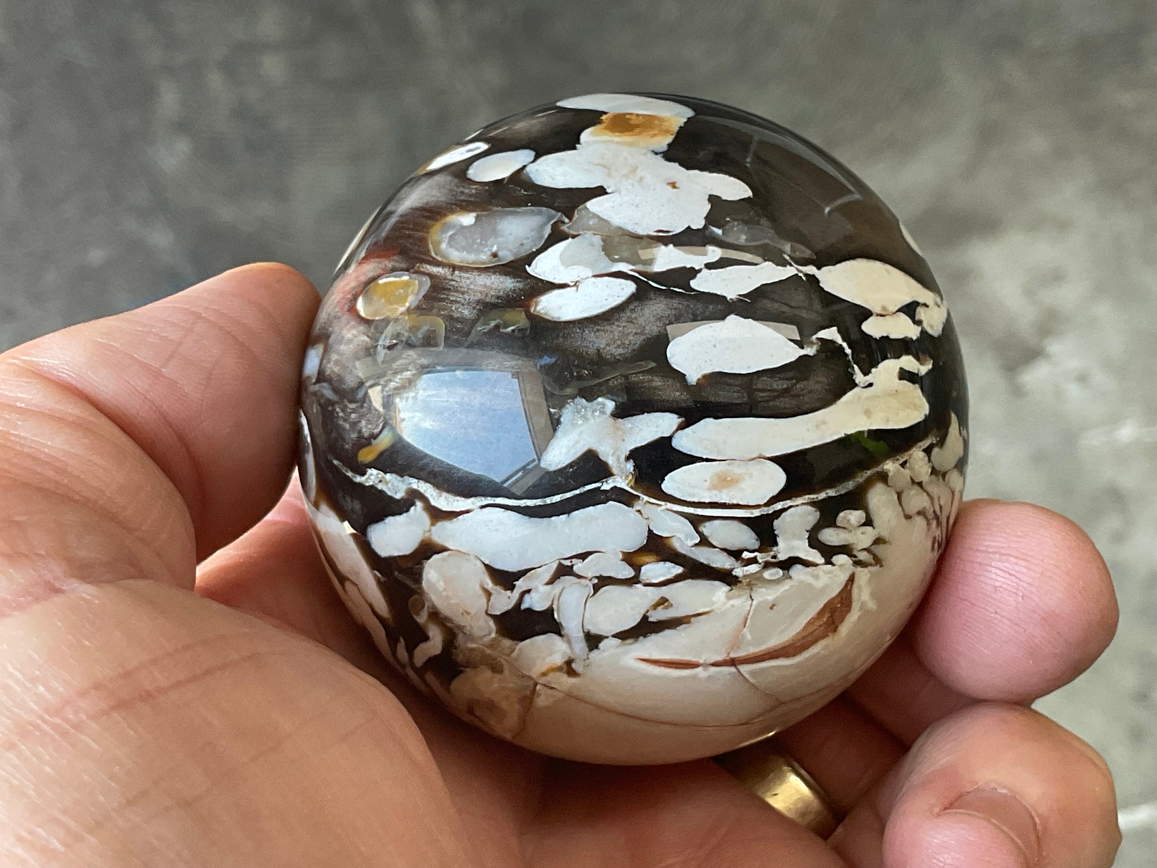 252g Western Australian “Peanut Wood” Sphere 2B