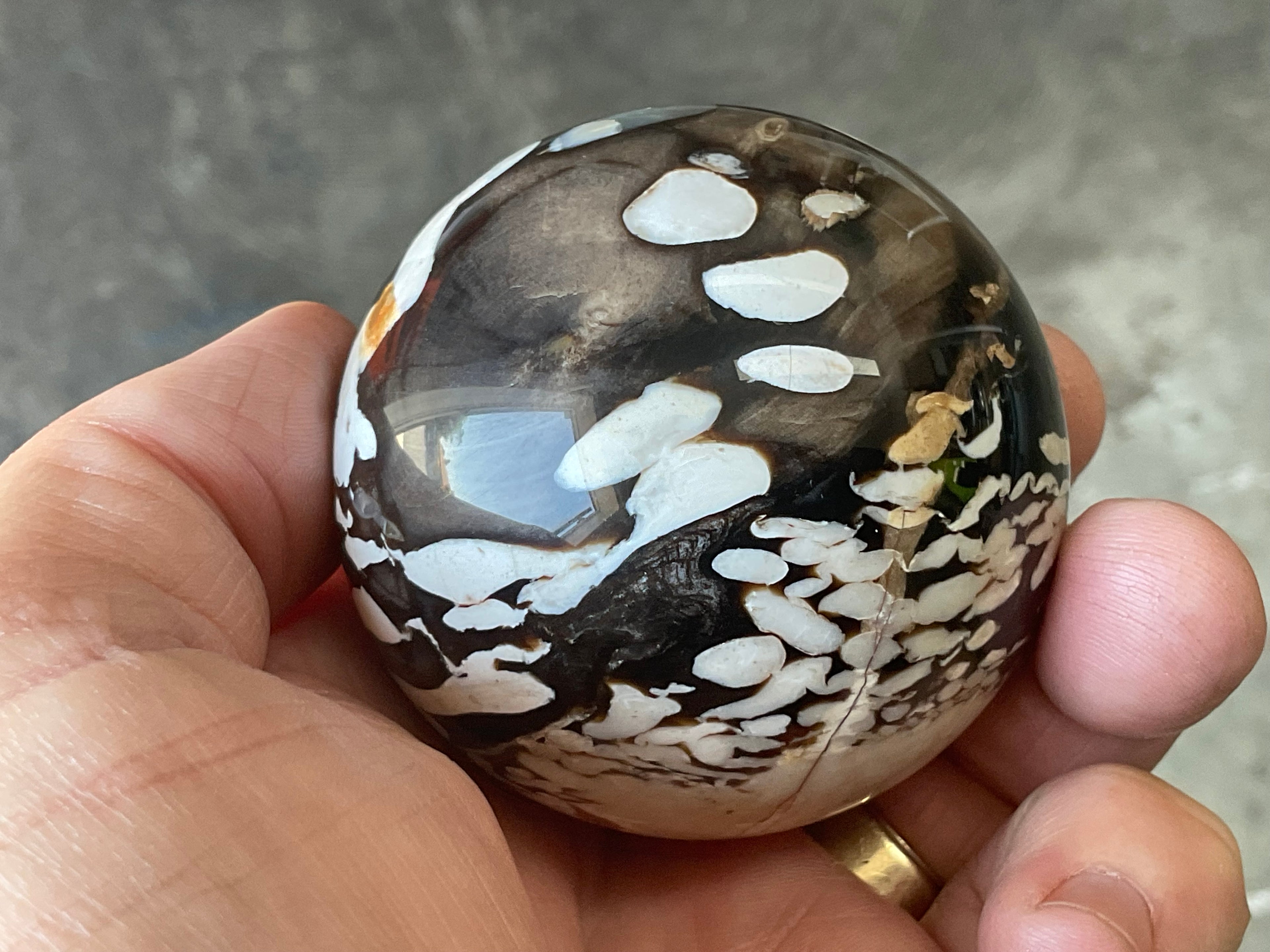 252g Western Australian “Peanut Wood” Sphere 2B