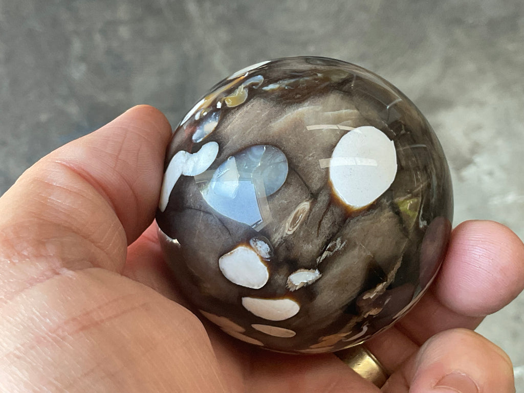 252g Western Australian “Peanut Wood” Sphere 2B