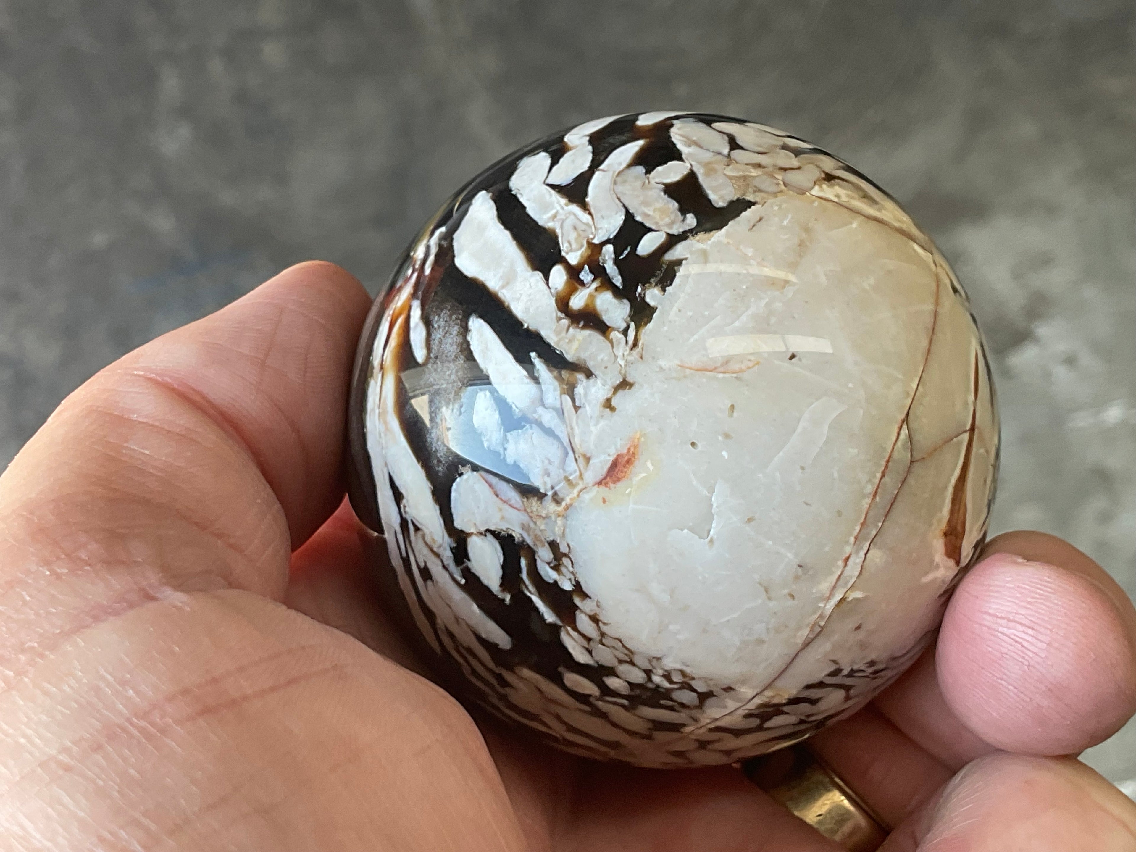 252g Western Australian “Peanut Wood” Sphere 2B
