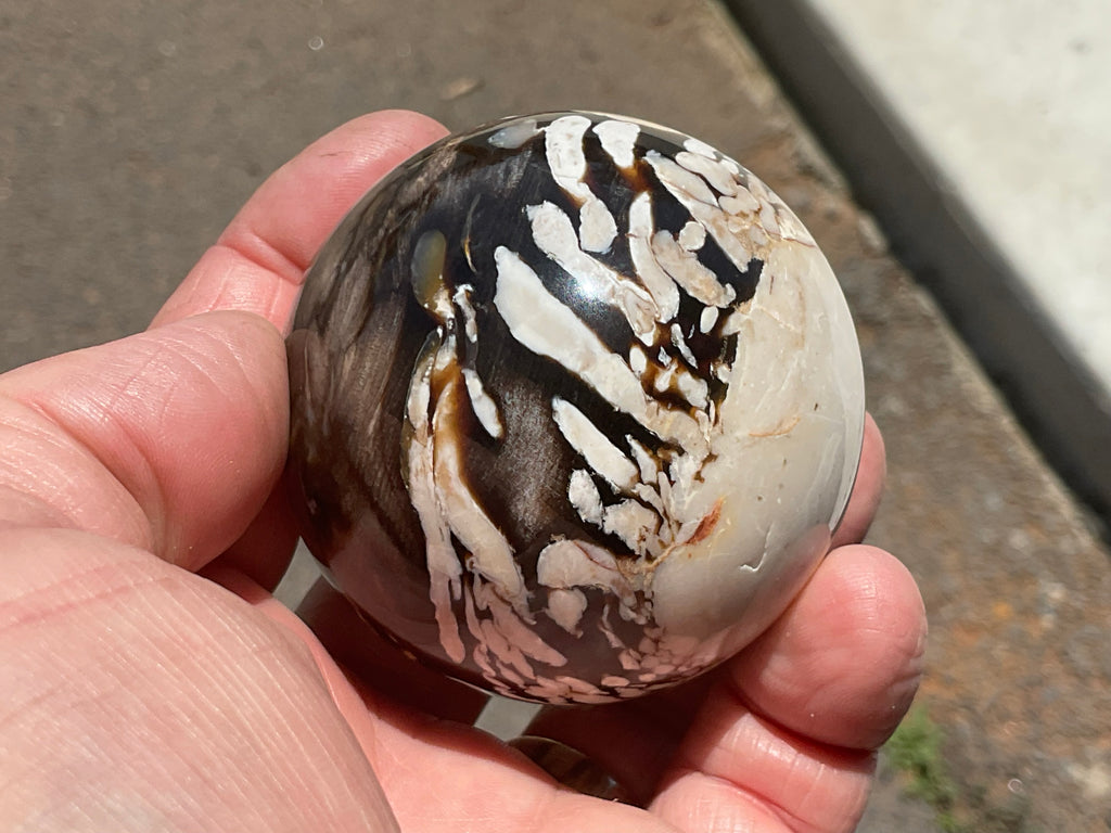 252g Western Australian “Peanut Wood” Sphere 2B