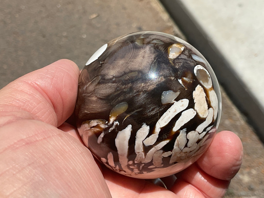 252g Western Australian “Peanut Wood” Sphere 2B