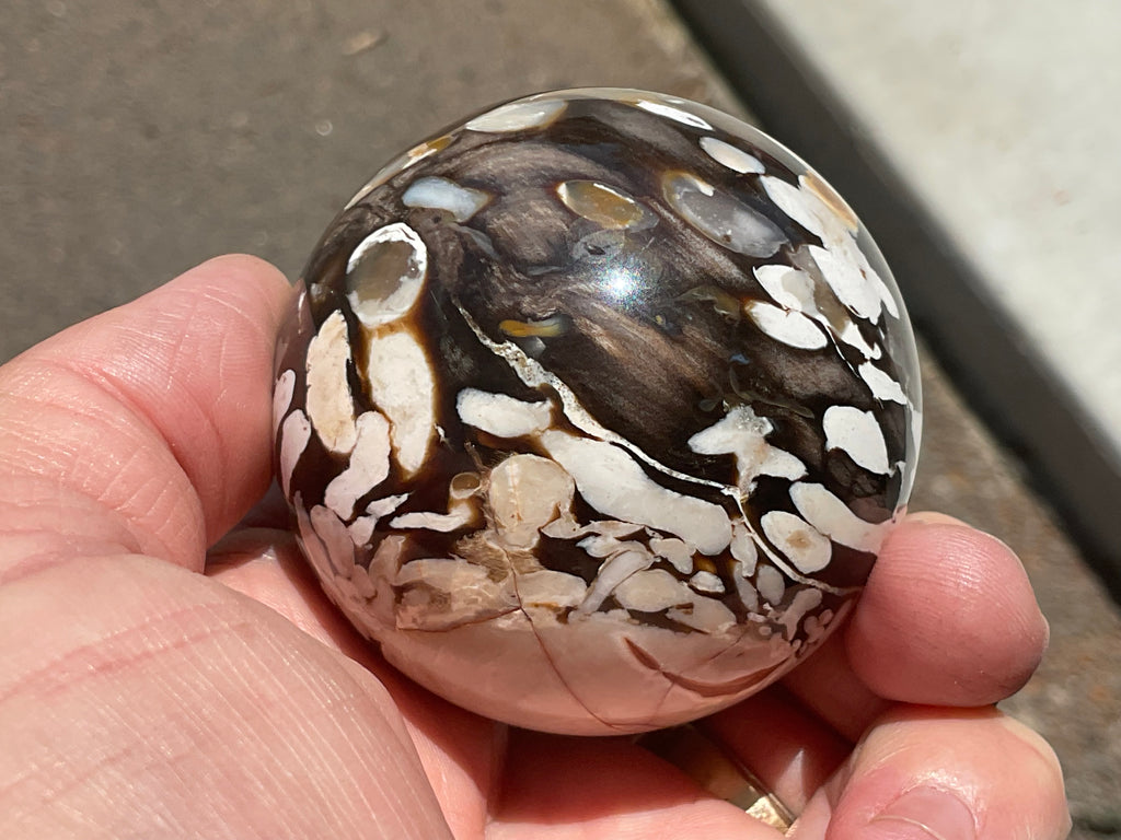 252g Western Australian “Peanut Wood” Sphere 2B