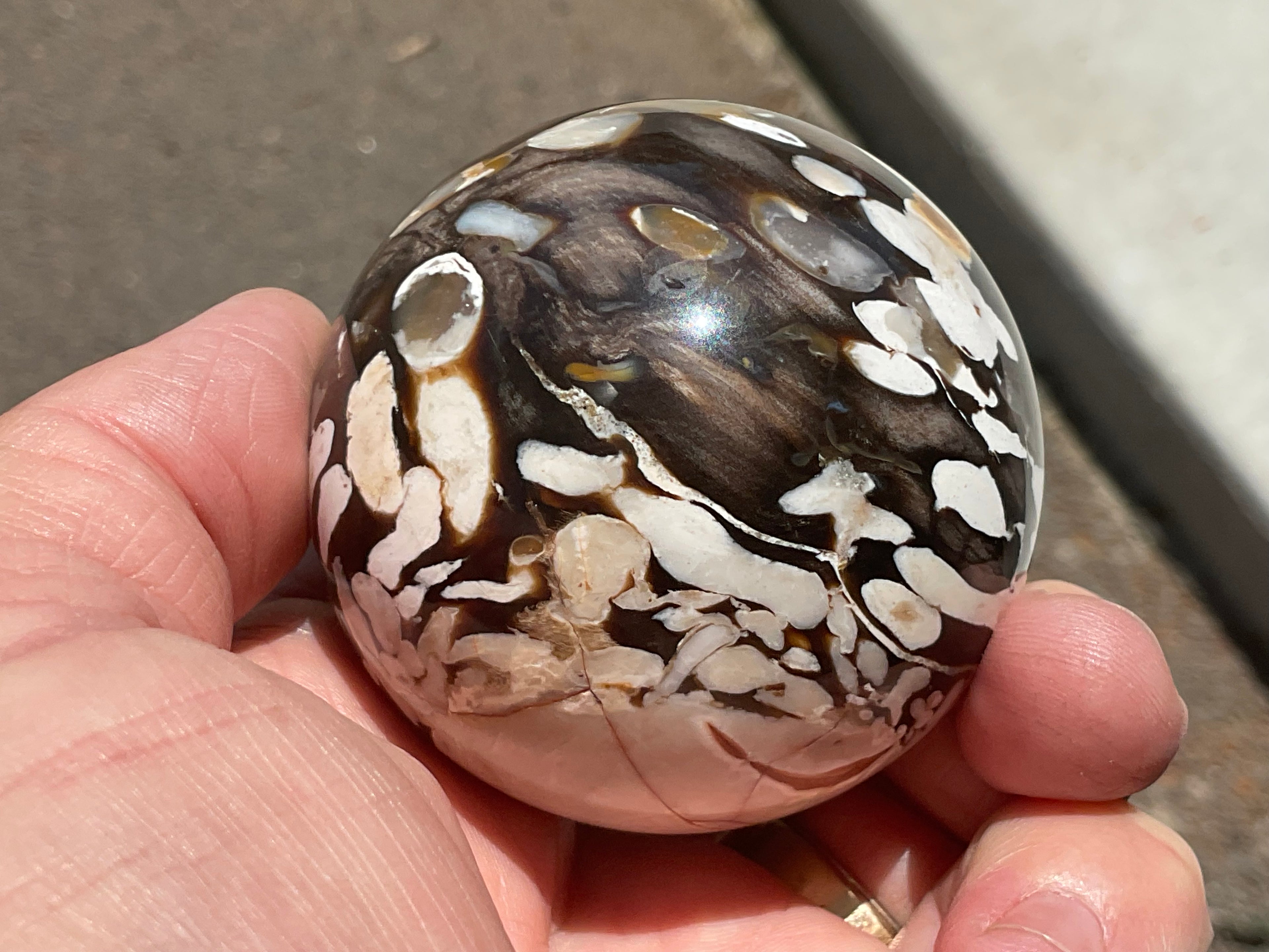 252g Western Australian “Peanut Wood” Sphere 2B