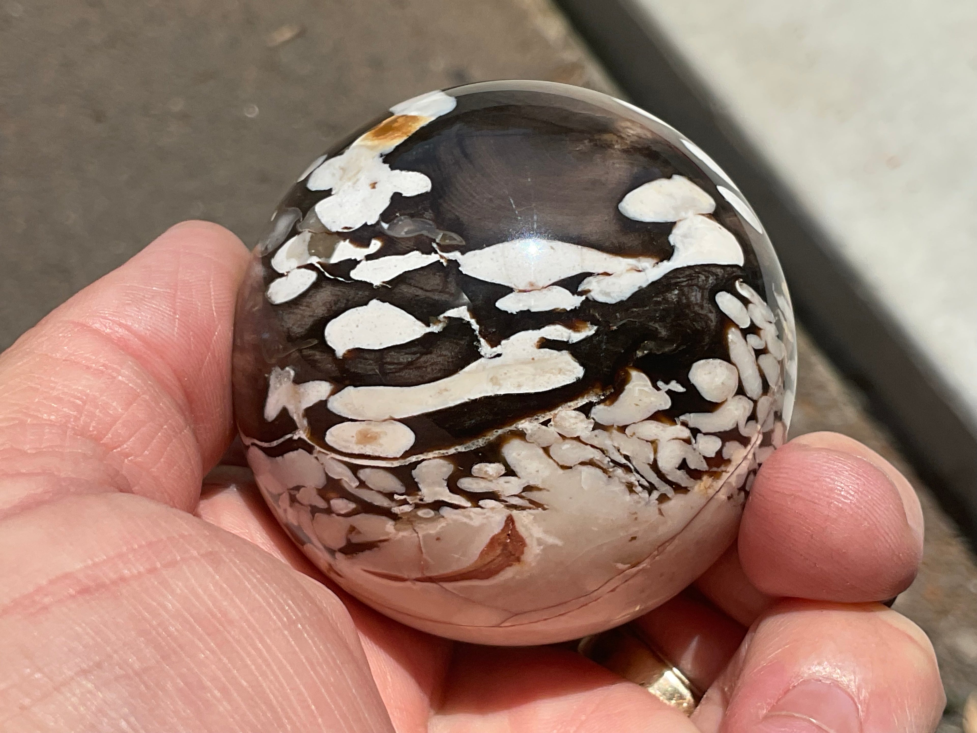 252g Western Australian “Peanut Wood” Sphere 2B