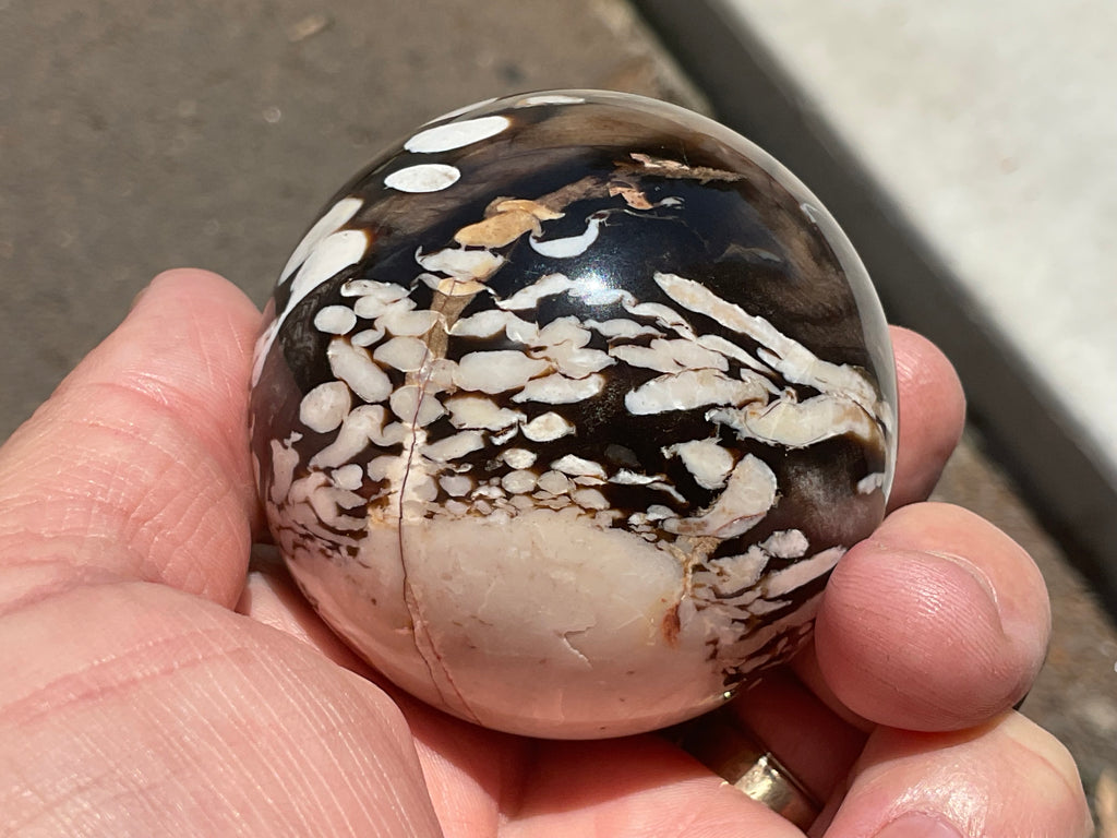 252g Western Australian “Peanut Wood” Sphere 2B