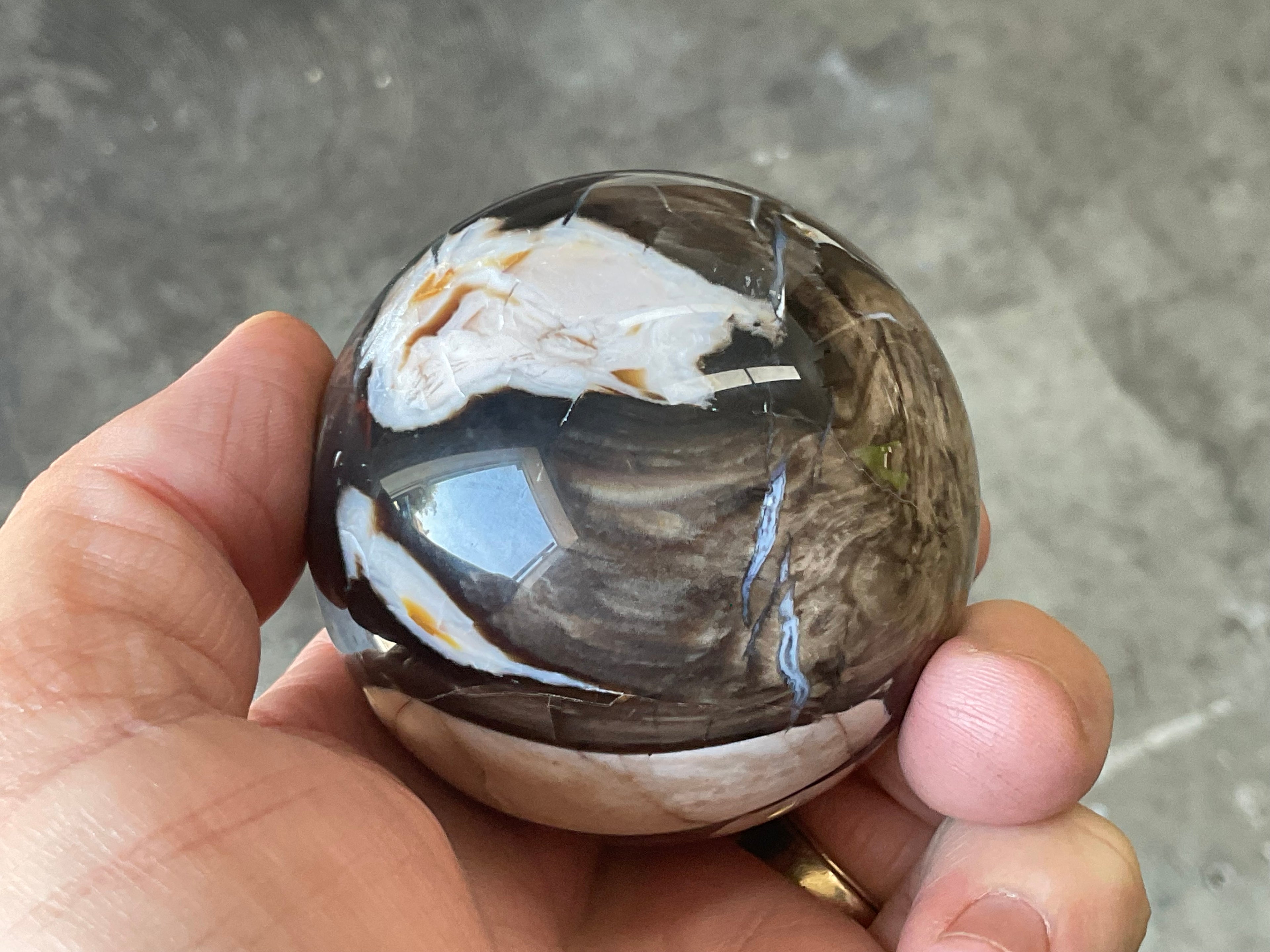280g Western Australian “Peanut Wood” Sphere 2C
