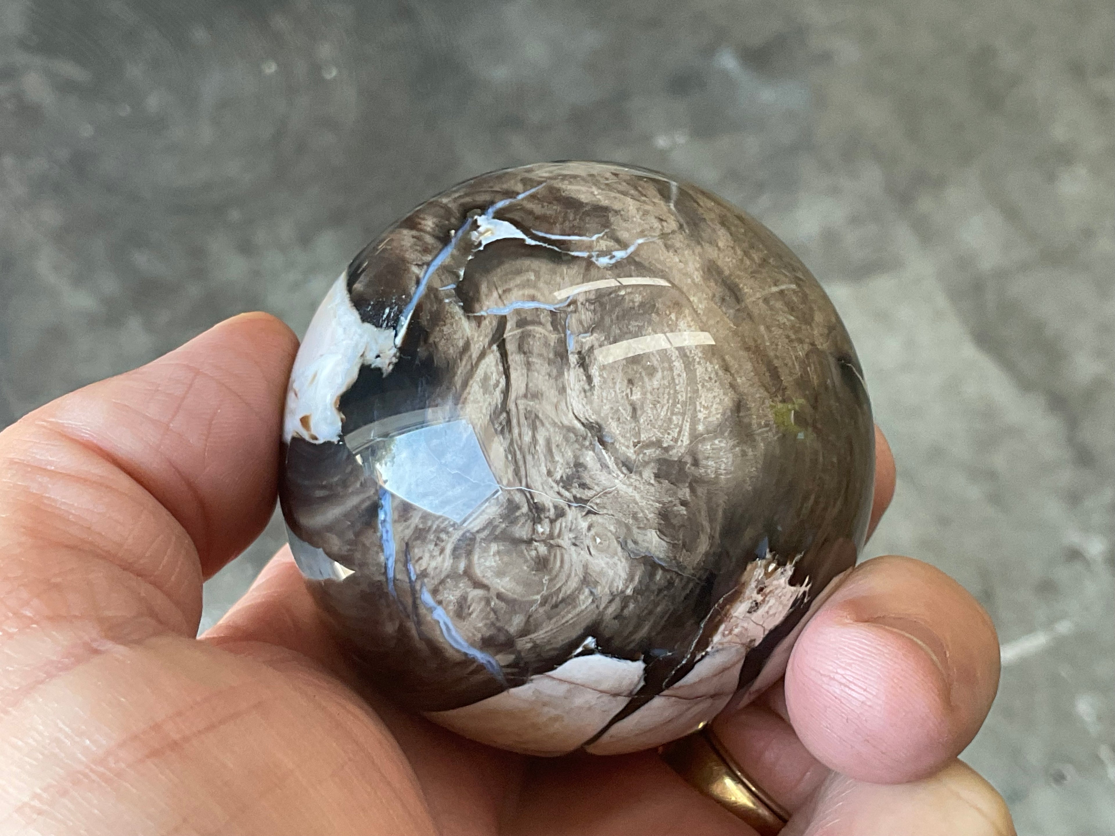 280g Western Australian “Peanut Wood” Sphere 2C