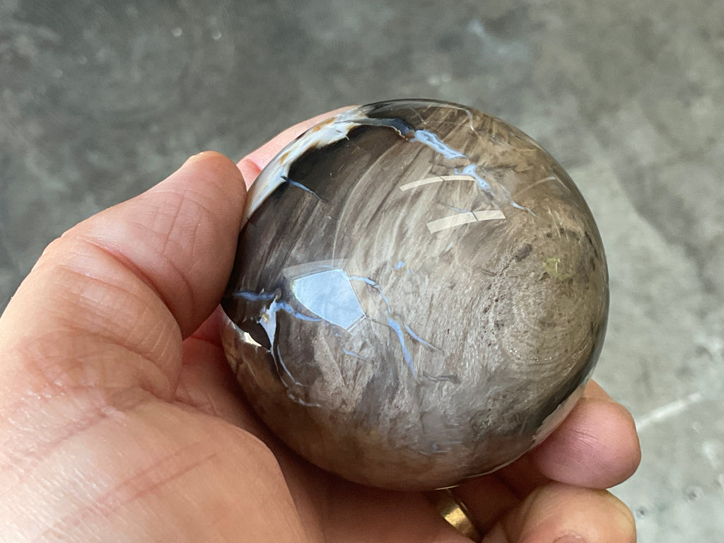 280g Western Australian “Peanut Wood” Sphere 2C