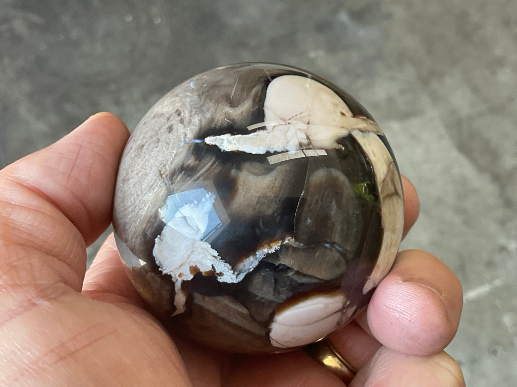 280g Western Australian “Peanut Wood” Sphere 2C