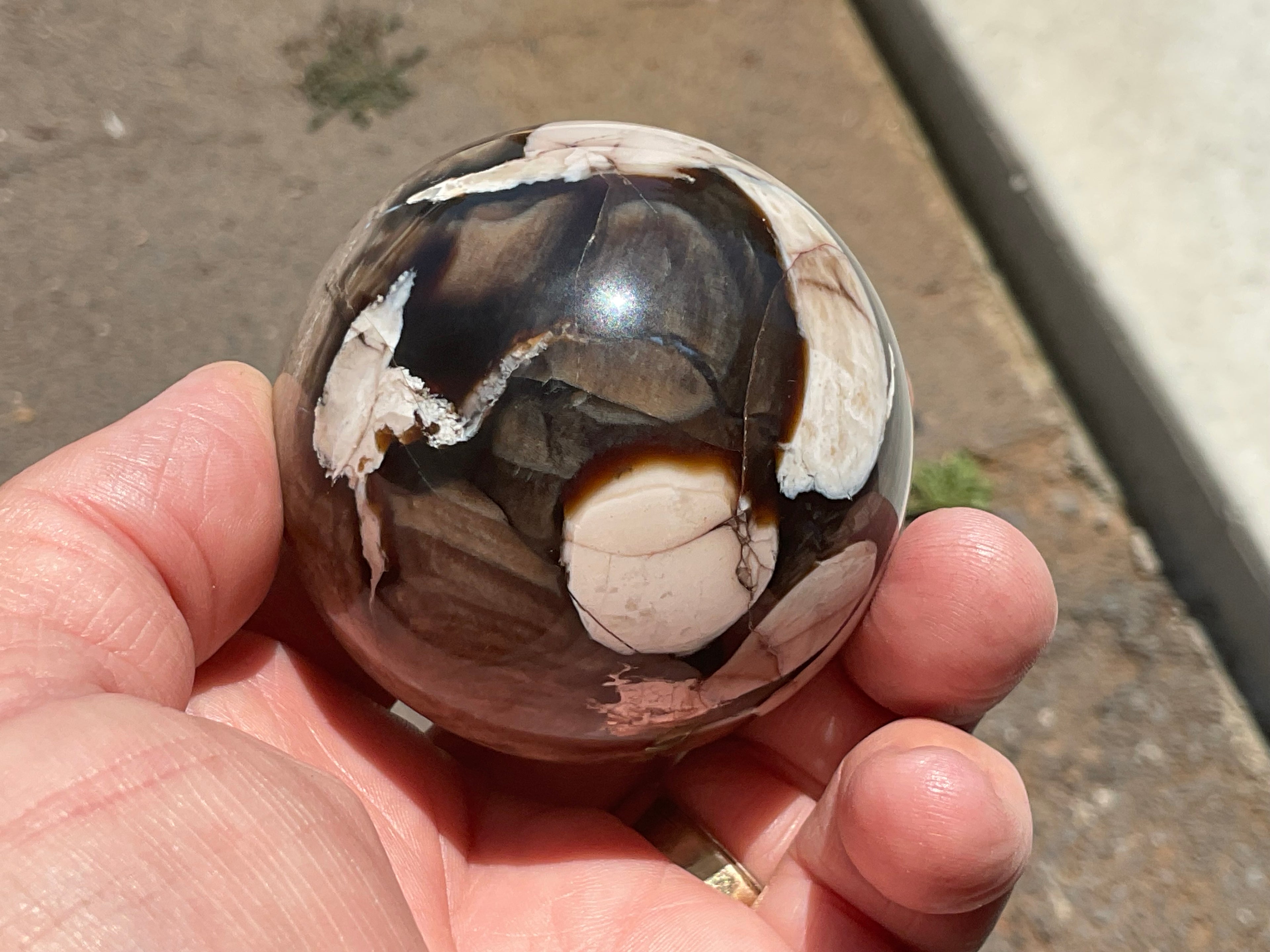 280g Western Australian “Peanut Wood” Sphere 2C