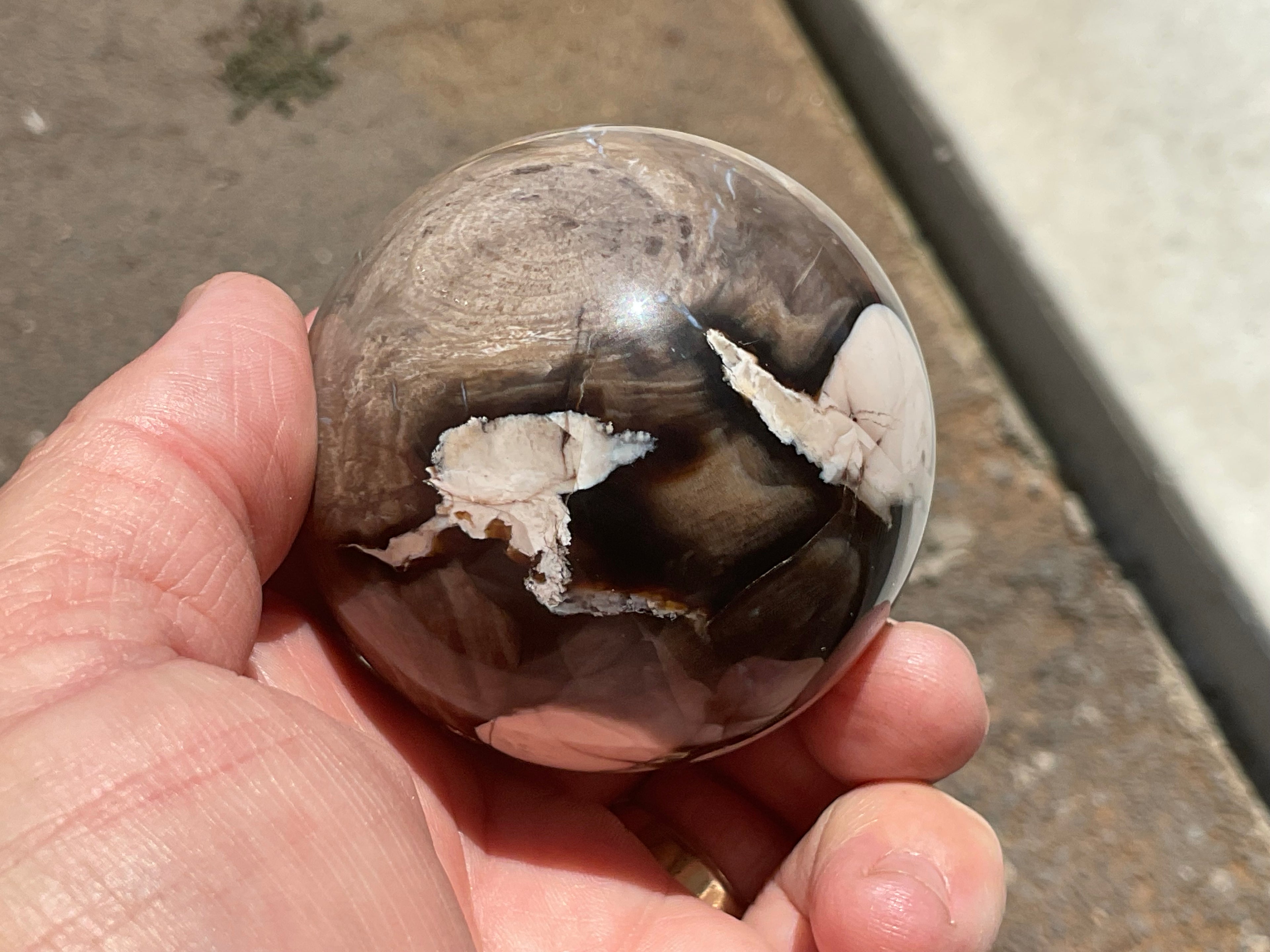 280g Western Australian “Peanut Wood” Sphere 2C