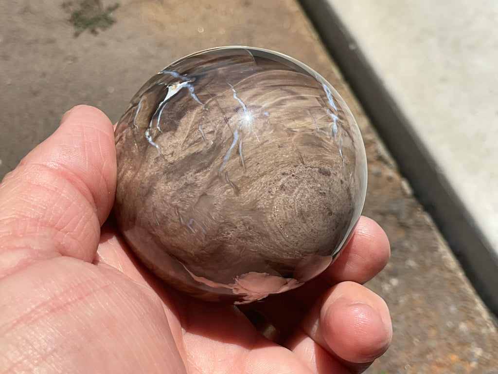 280g Western Australian “Peanut Wood” Sphere 2C