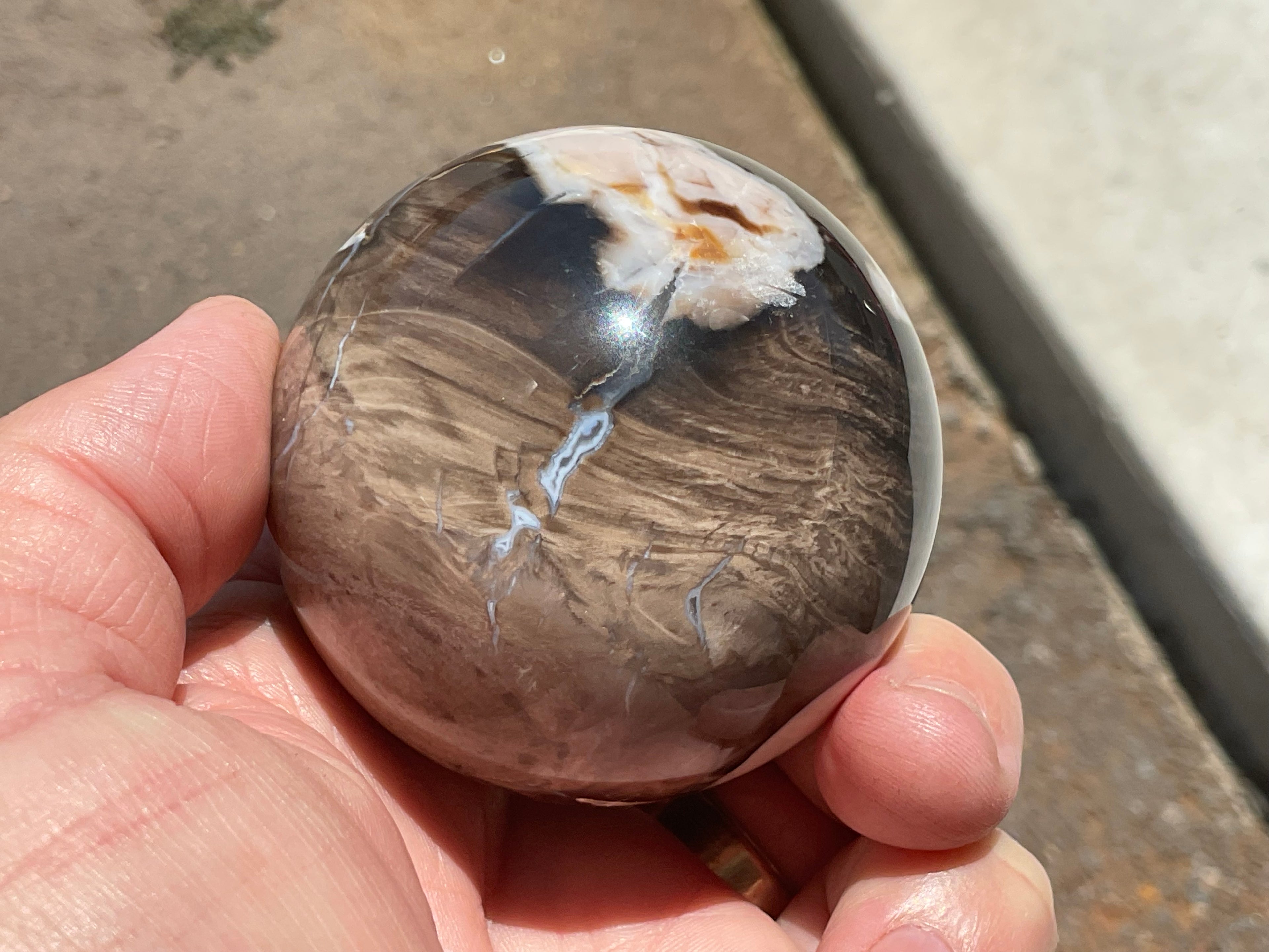 280g Western Australian “Peanut Wood” Sphere 2C