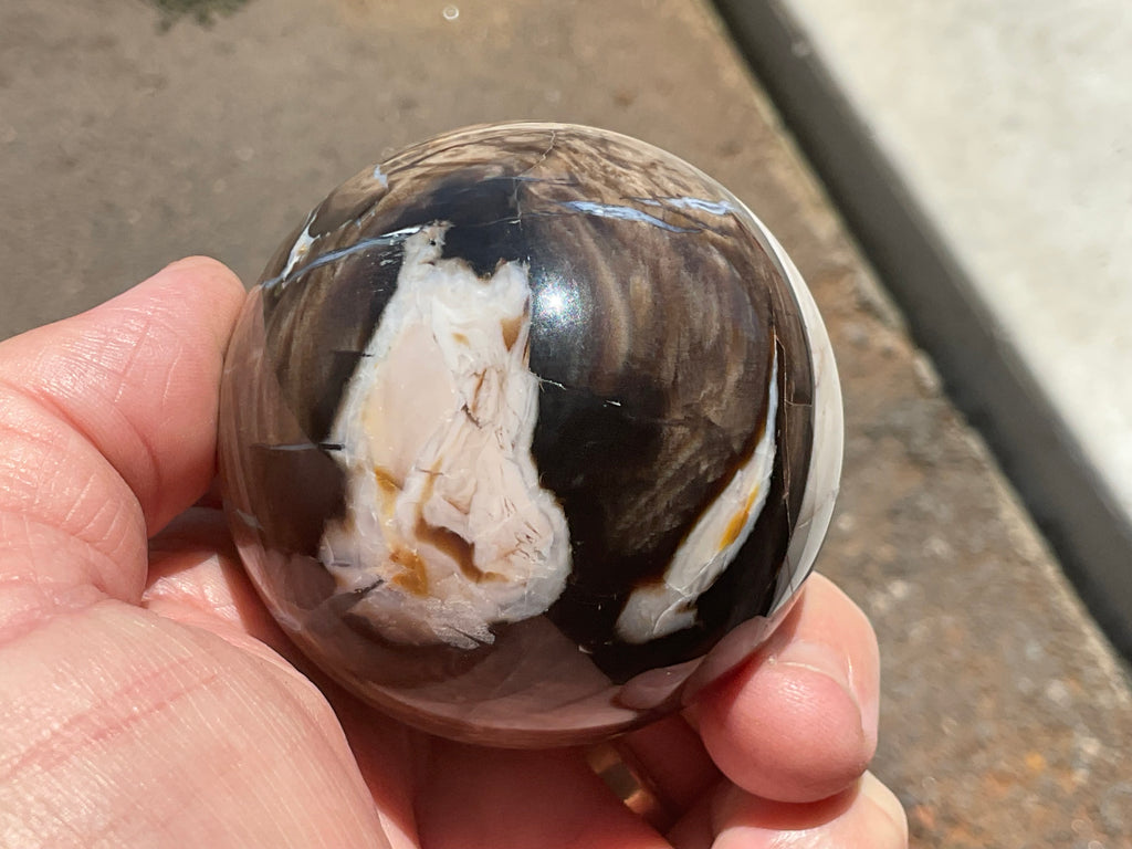 280g Western Australian “Peanut Wood” Sphere 2C