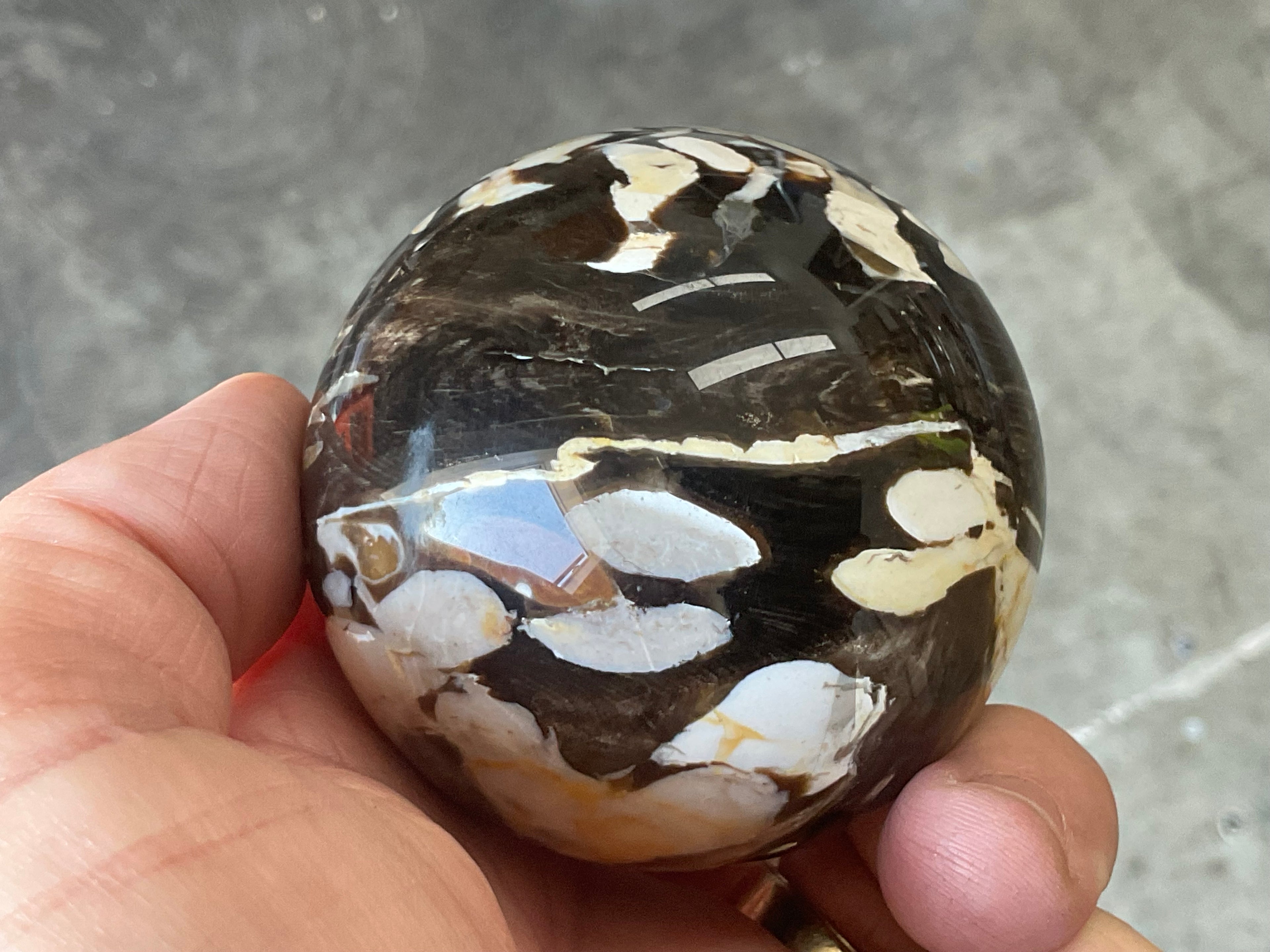 304g Western Australian “Peanut Wood” Sphere 3A