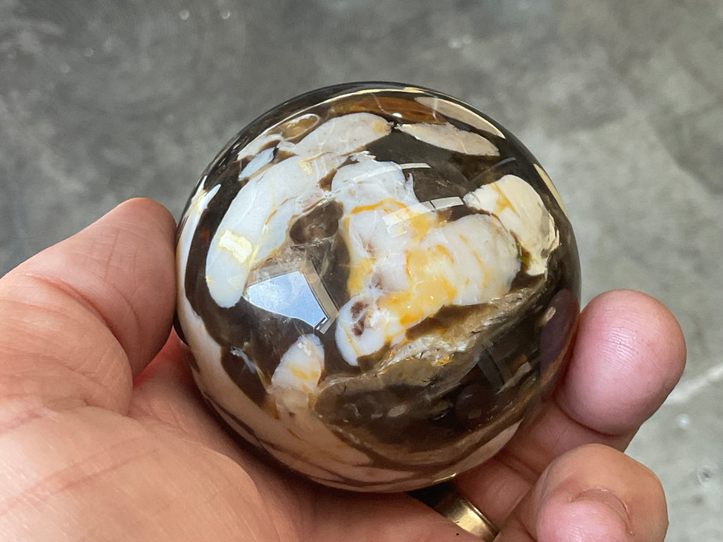 304g Western Australian “Peanut Wood” Sphere 3A