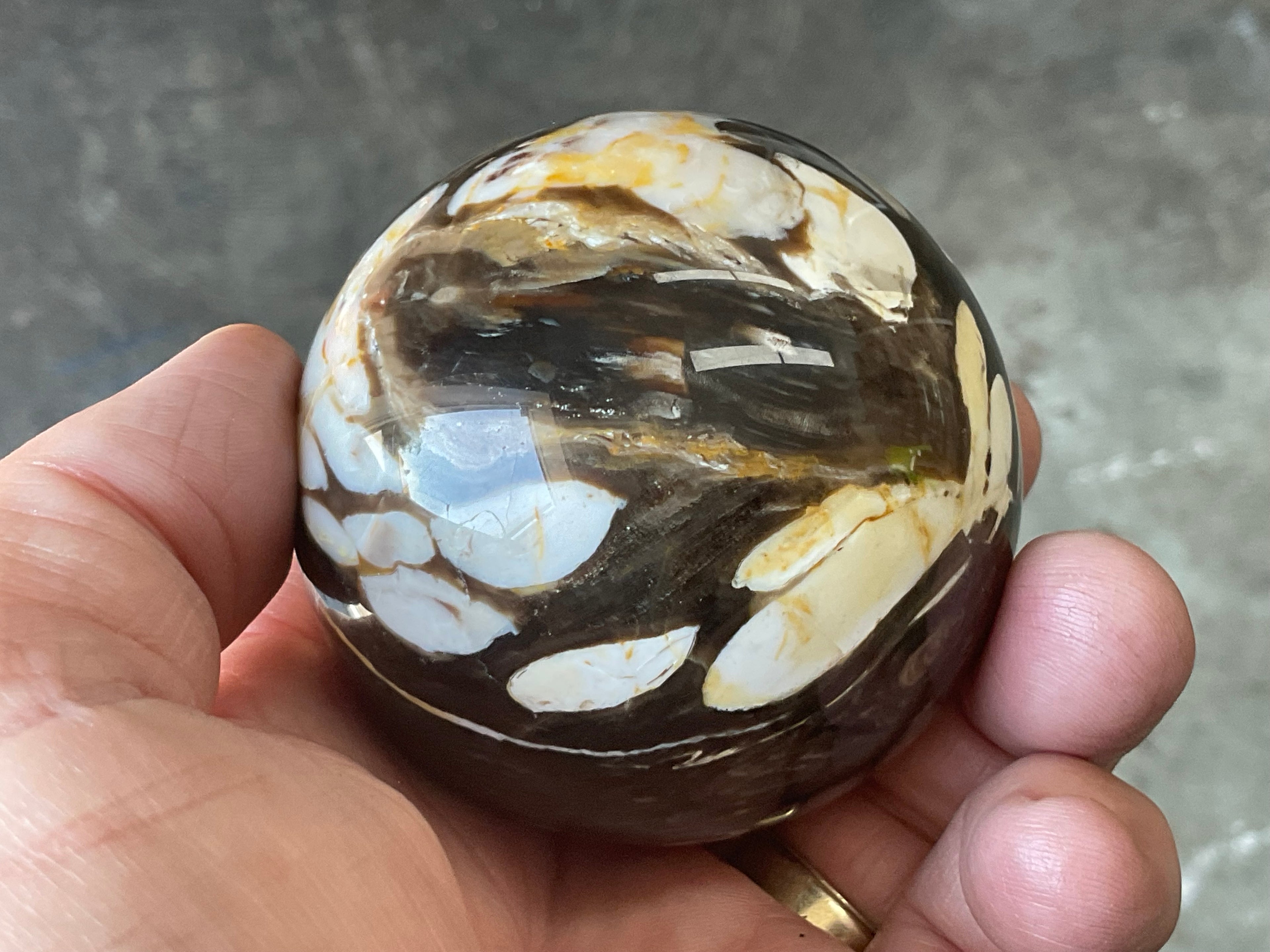 304g Western Australian “Peanut Wood” Sphere 3A