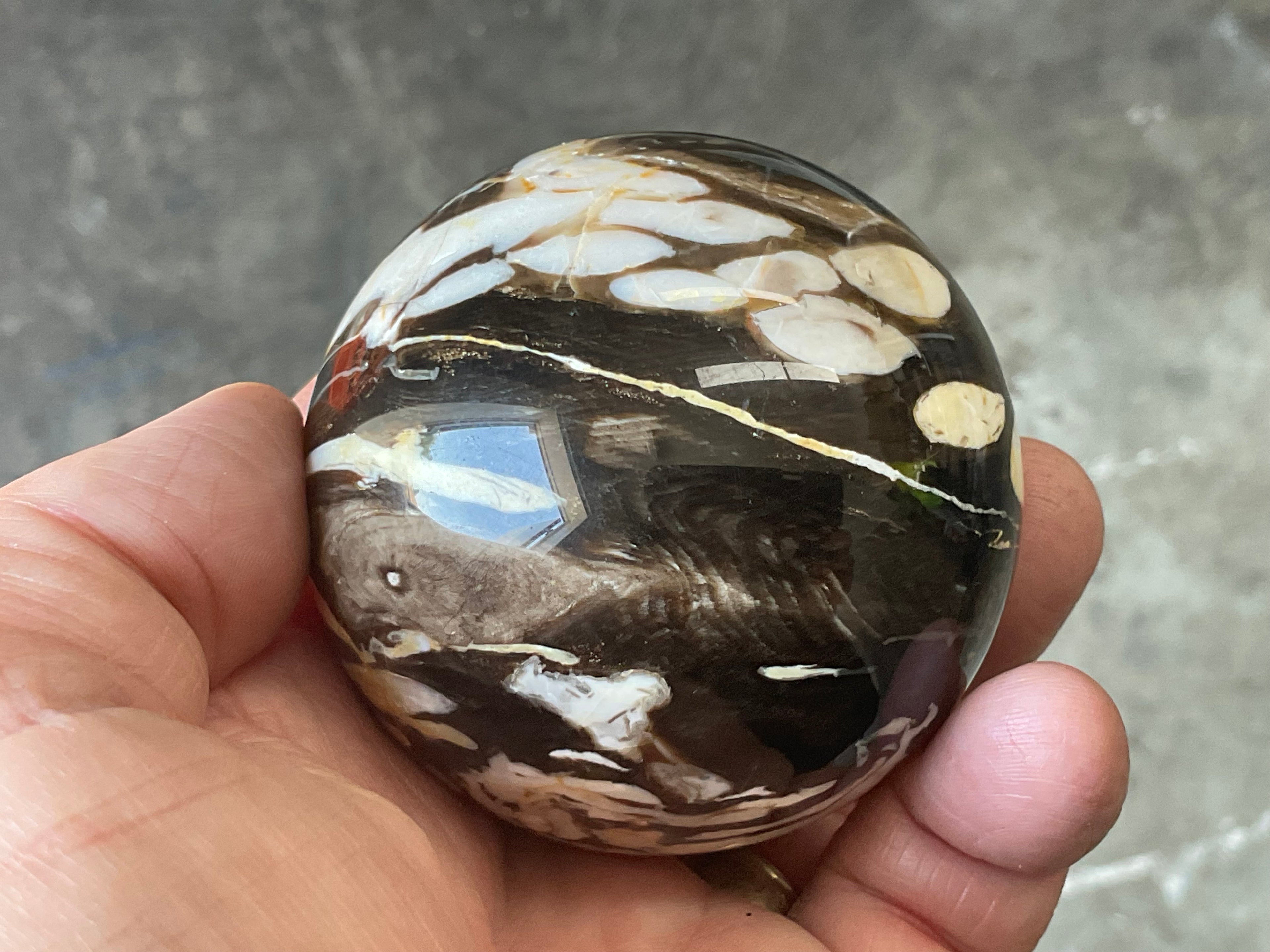 304g Western Australian “Peanut Wood” Sphere 3A