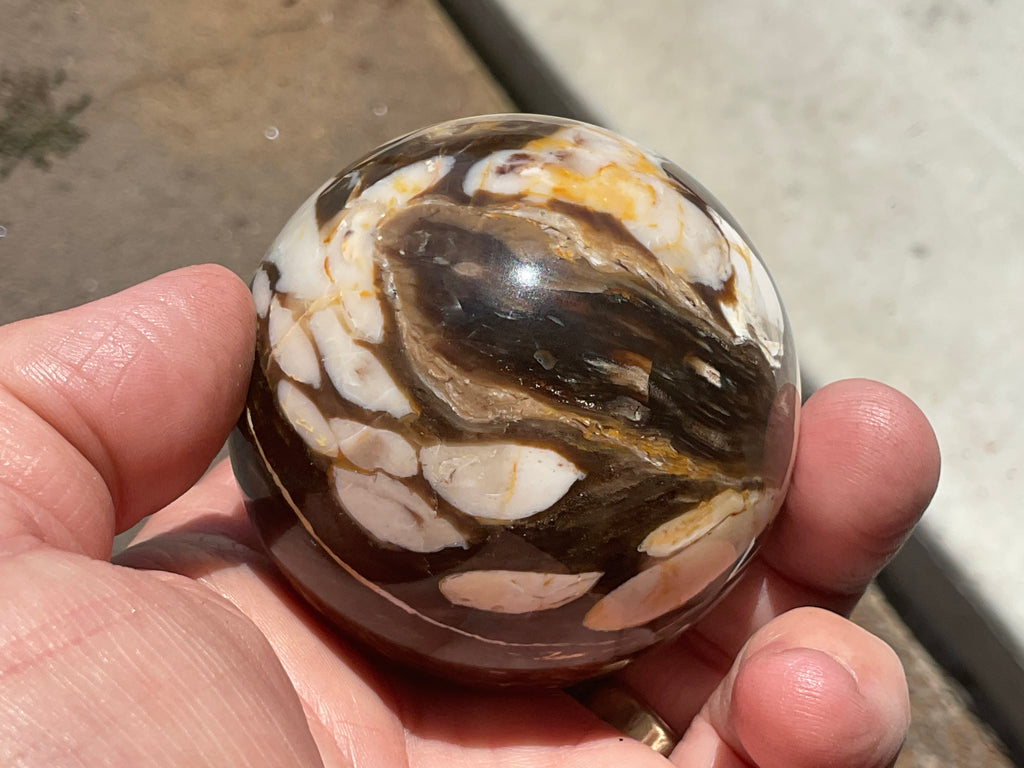 304g Western Australian “Peanut Wood” Sphere 3A