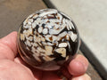 304g Western Australian “Peanut Wood” Sphere 3A