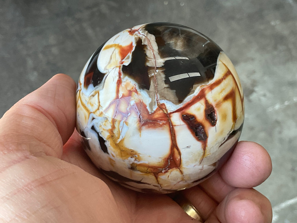 308g Western Australian “Peanut Wood” Sphere 3B