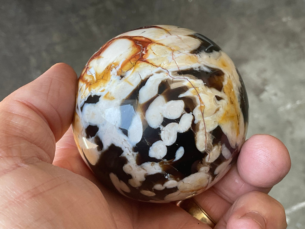308g Western Australian “Peanut Wood” Sphere 3B
