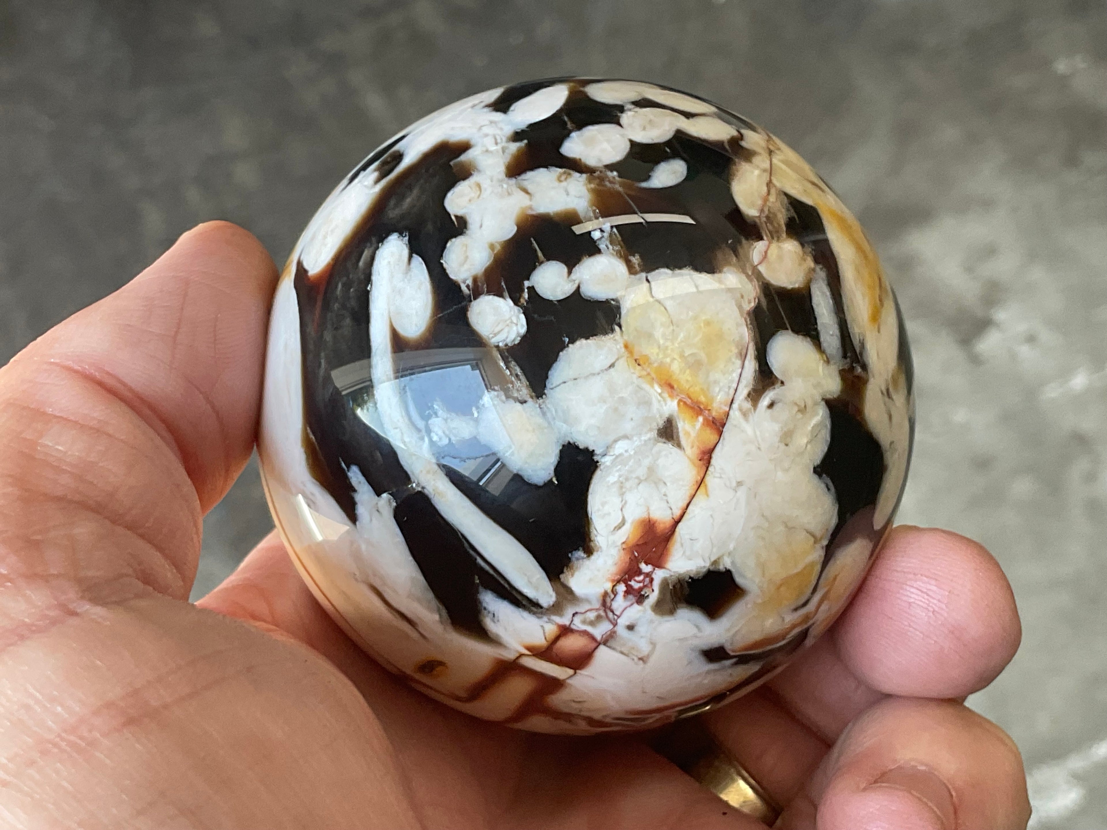 308g Western Australian “Peanut Wood” Sphere 3B