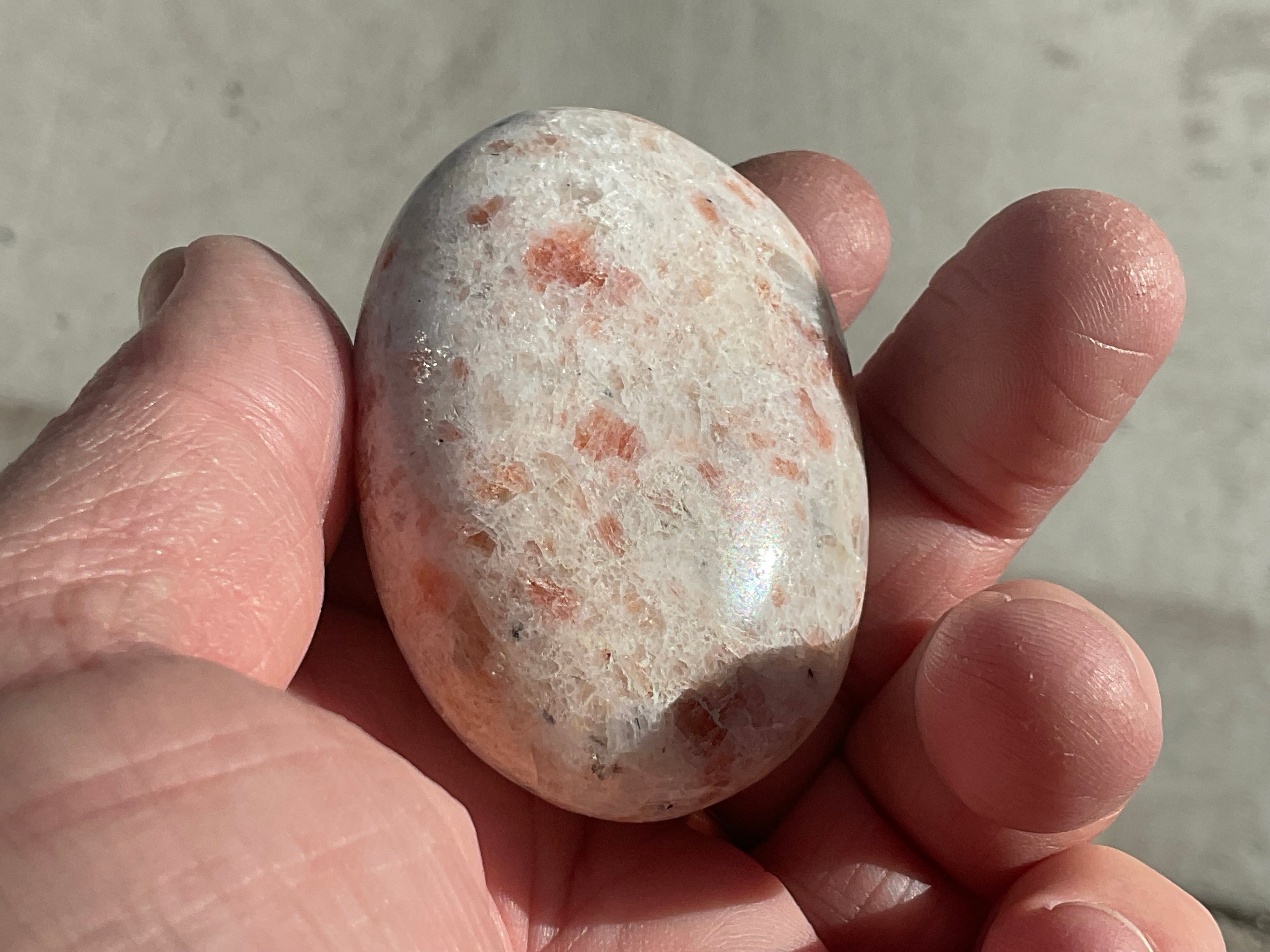 74g Sunstone Palmstone 1B