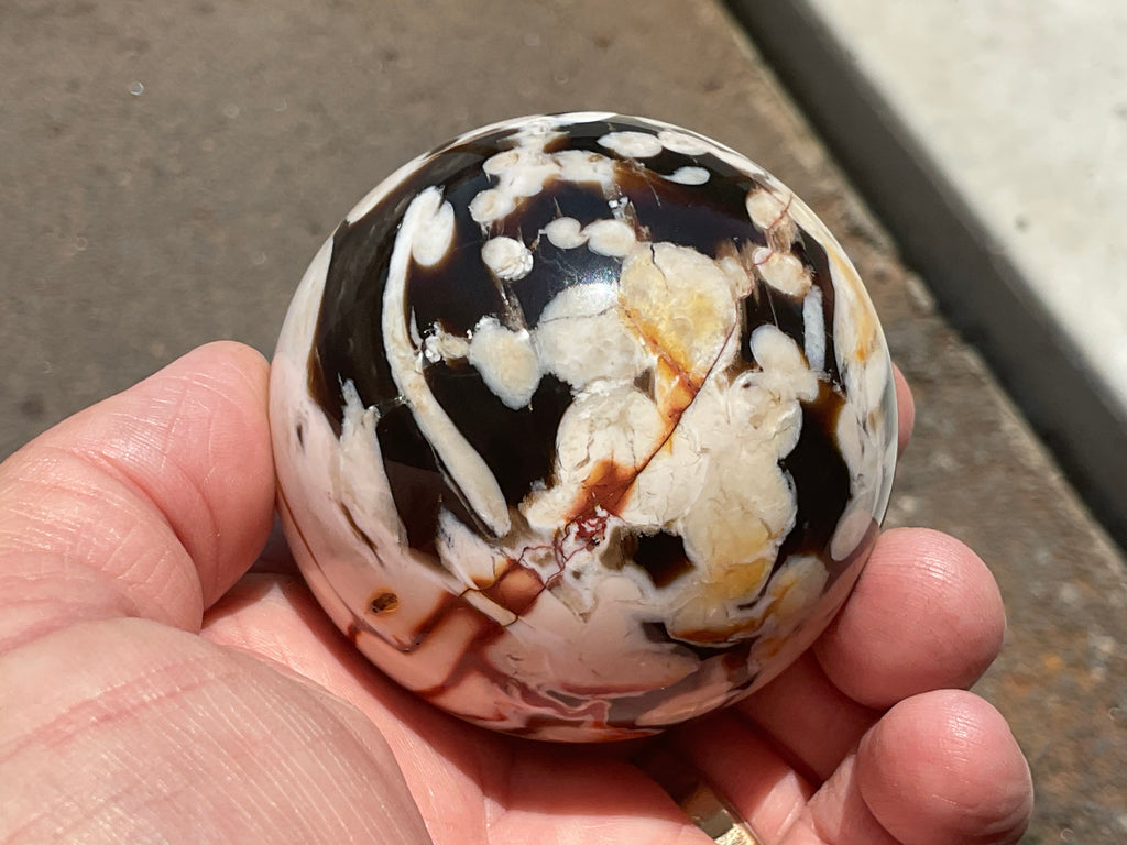 308g Western Australian “Peanut Wood” Sphere 3B