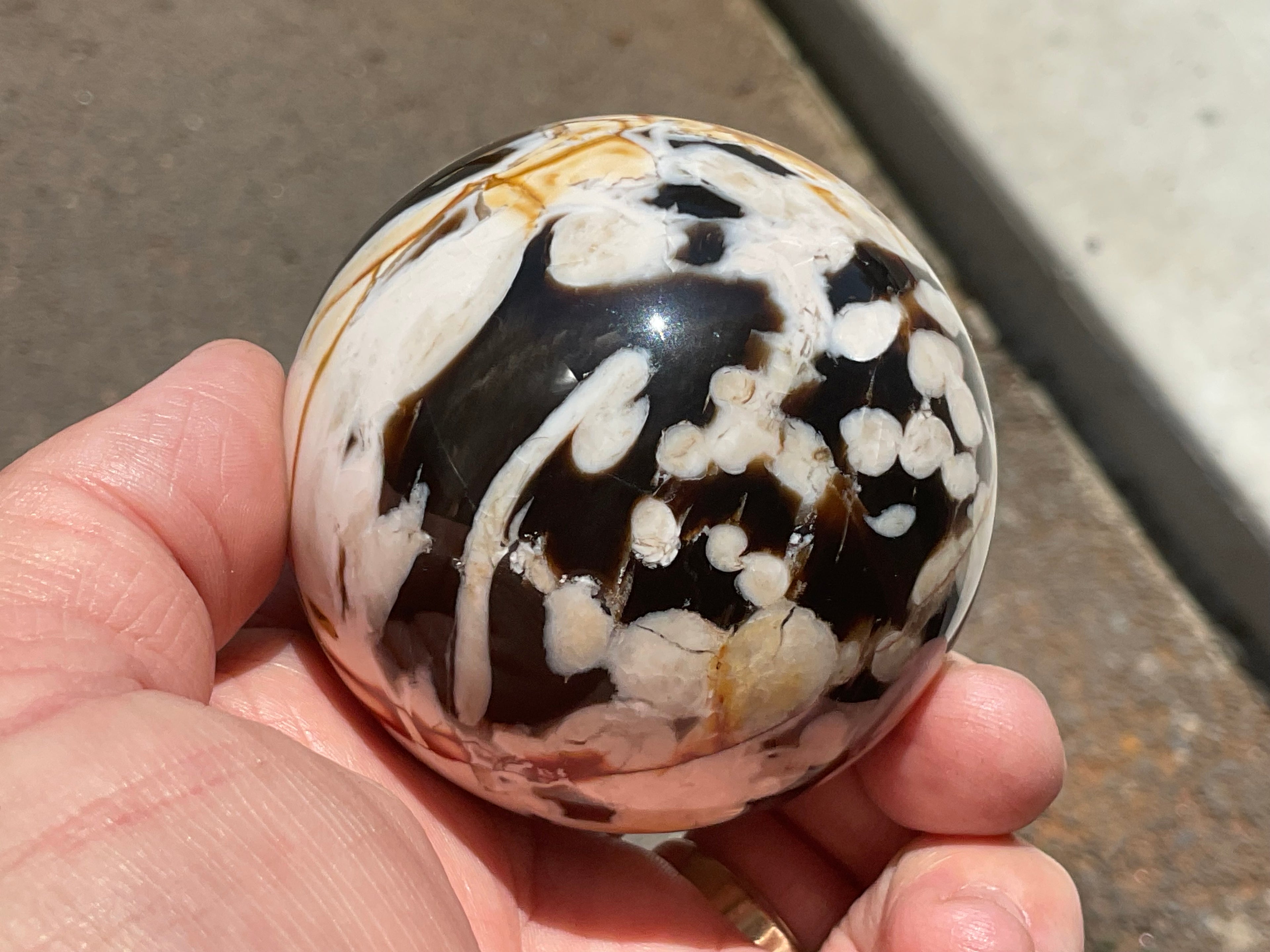 308g Western Australian “Peanut Wood” Sphere 3B