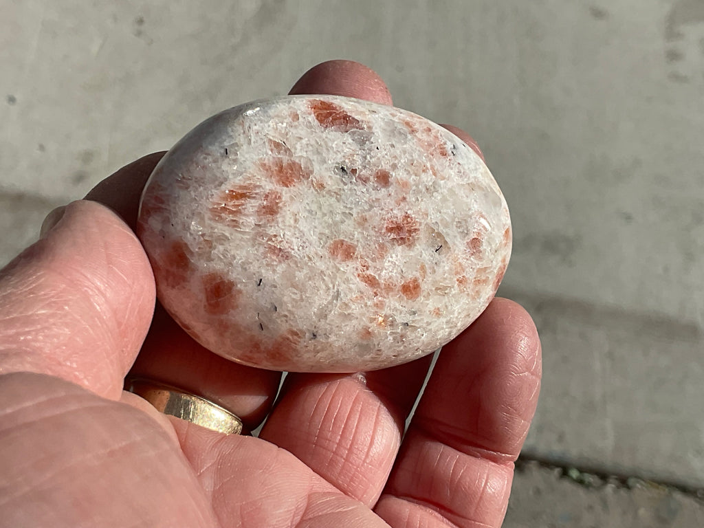 74g Sunstone Palmstone 1B