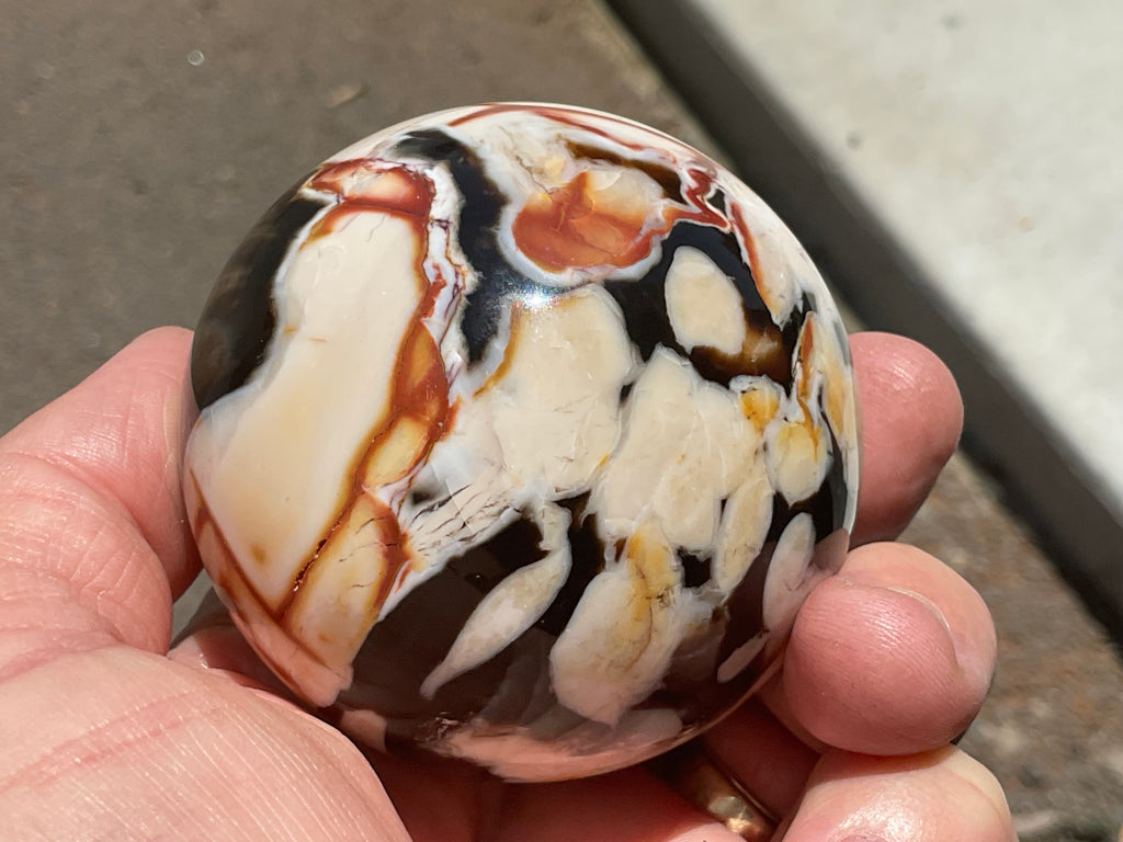 308g Western Australian “Peanut Wood” Sphere 3B