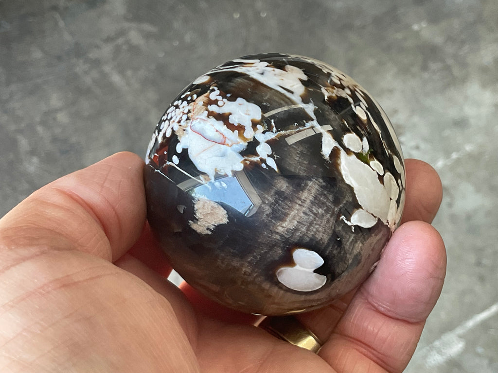 308g Western Australian “Peanut Wood” Sphere 3C