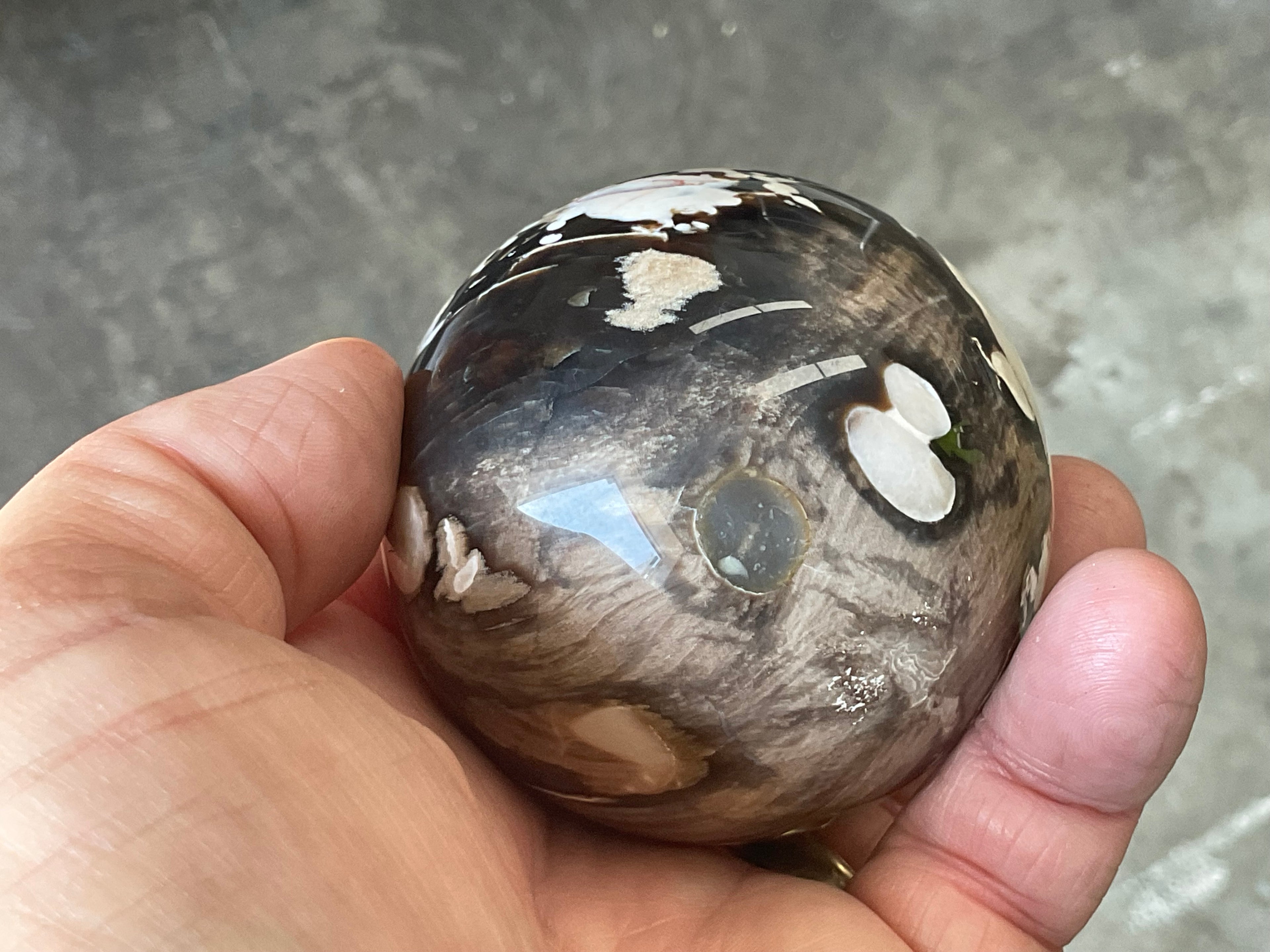 308g Western Australian “Peanut Wood” Sphere 3C