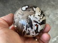 308g Western Australian “Peanut Wood” Sphere 3C