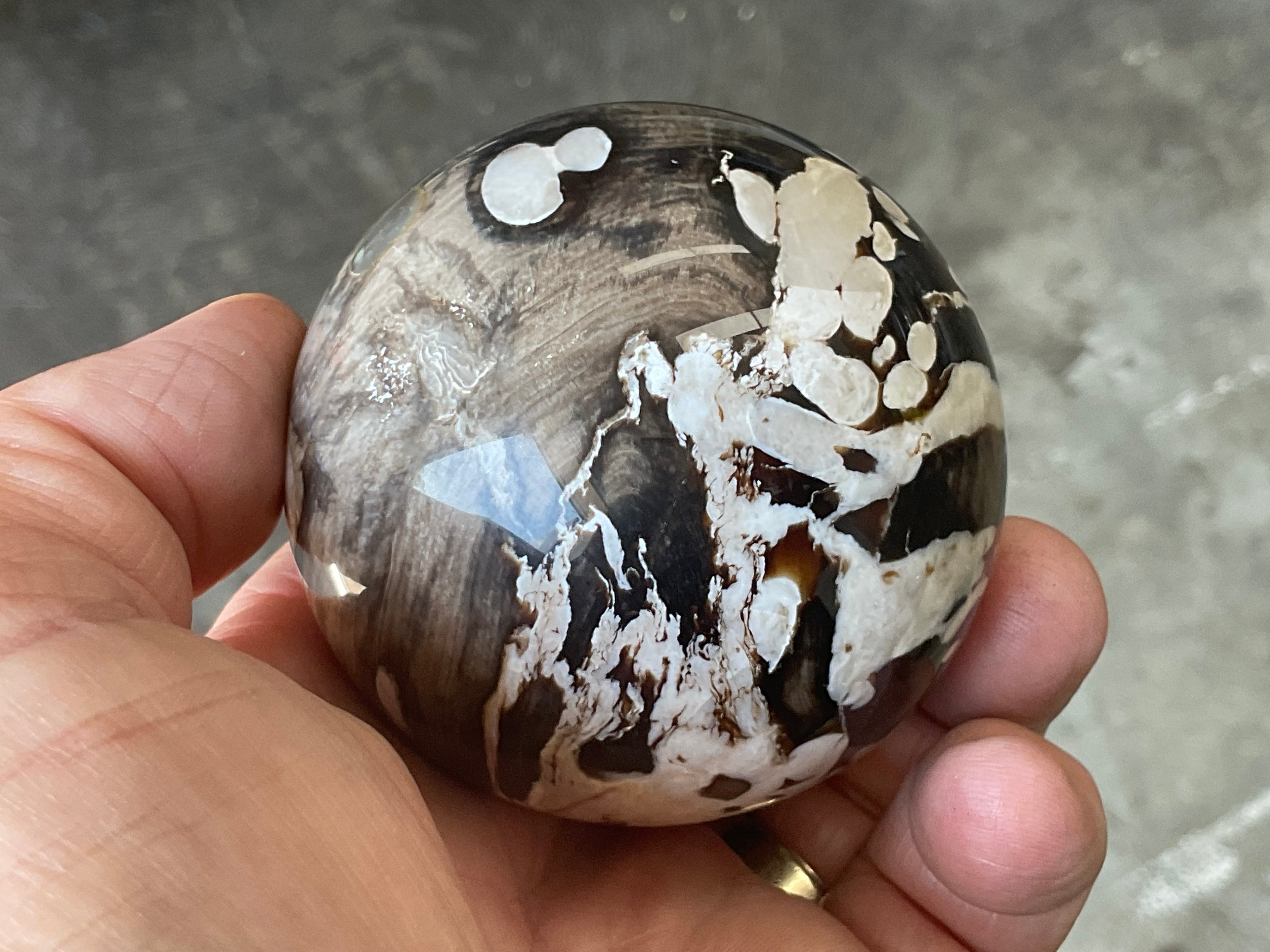 308g Western Australian “Peanut Wood” Sphere 3C