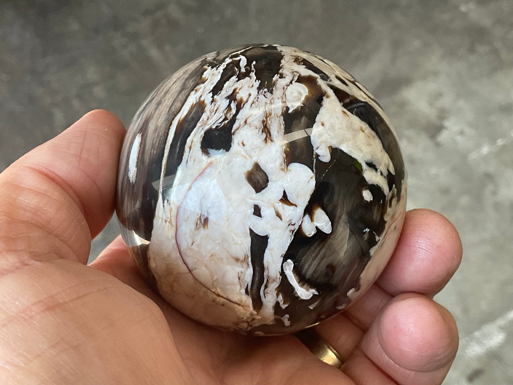 308g Western Australian “Peanut Wood” Sphere 3C