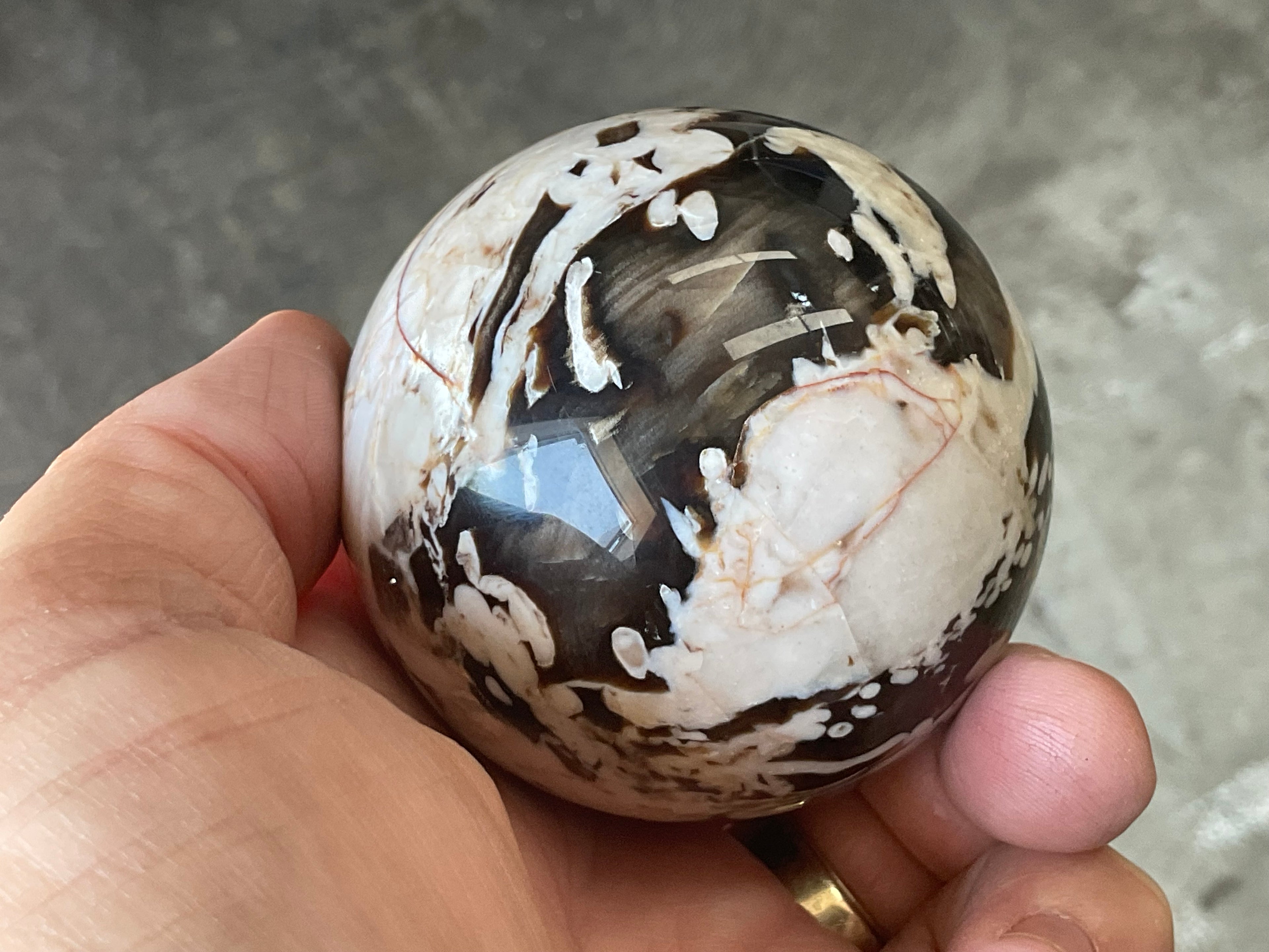 308g Western Australian “Peanut Wood” Sphere 3C