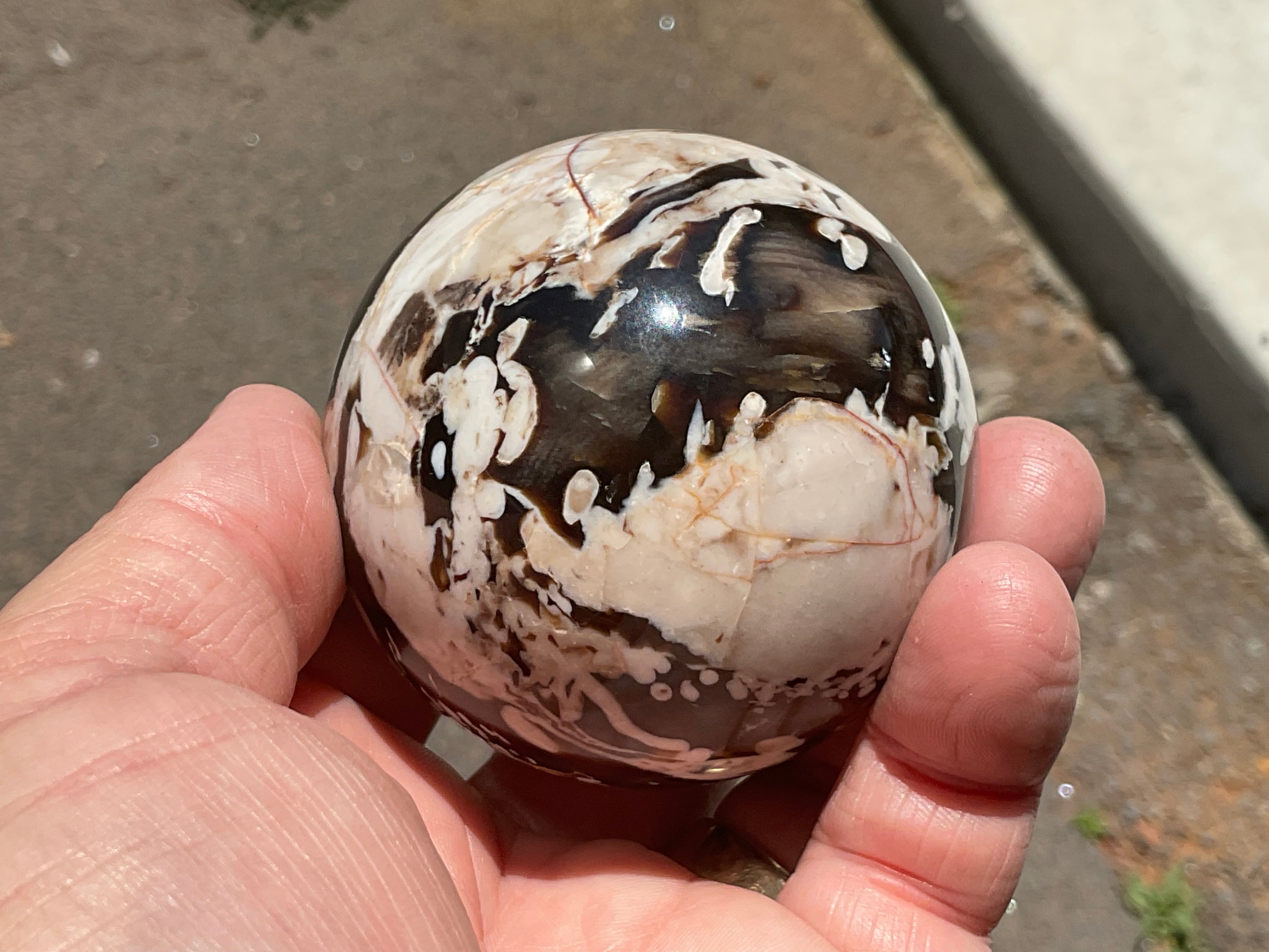 308g Western Australian “Peanut Wood” Sphere 3C