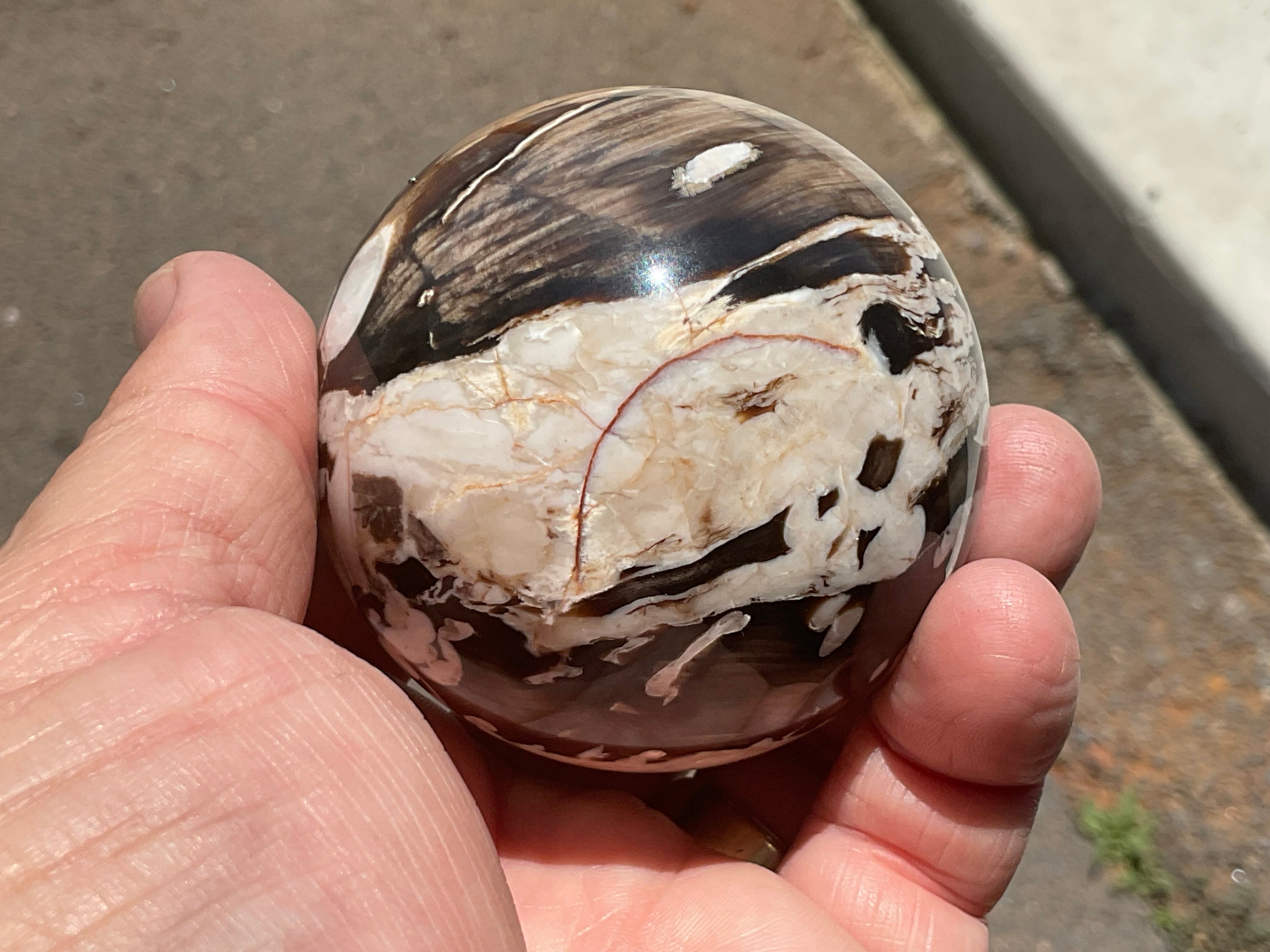 308g Western Australian “Peanut Wood” Sphere 3C