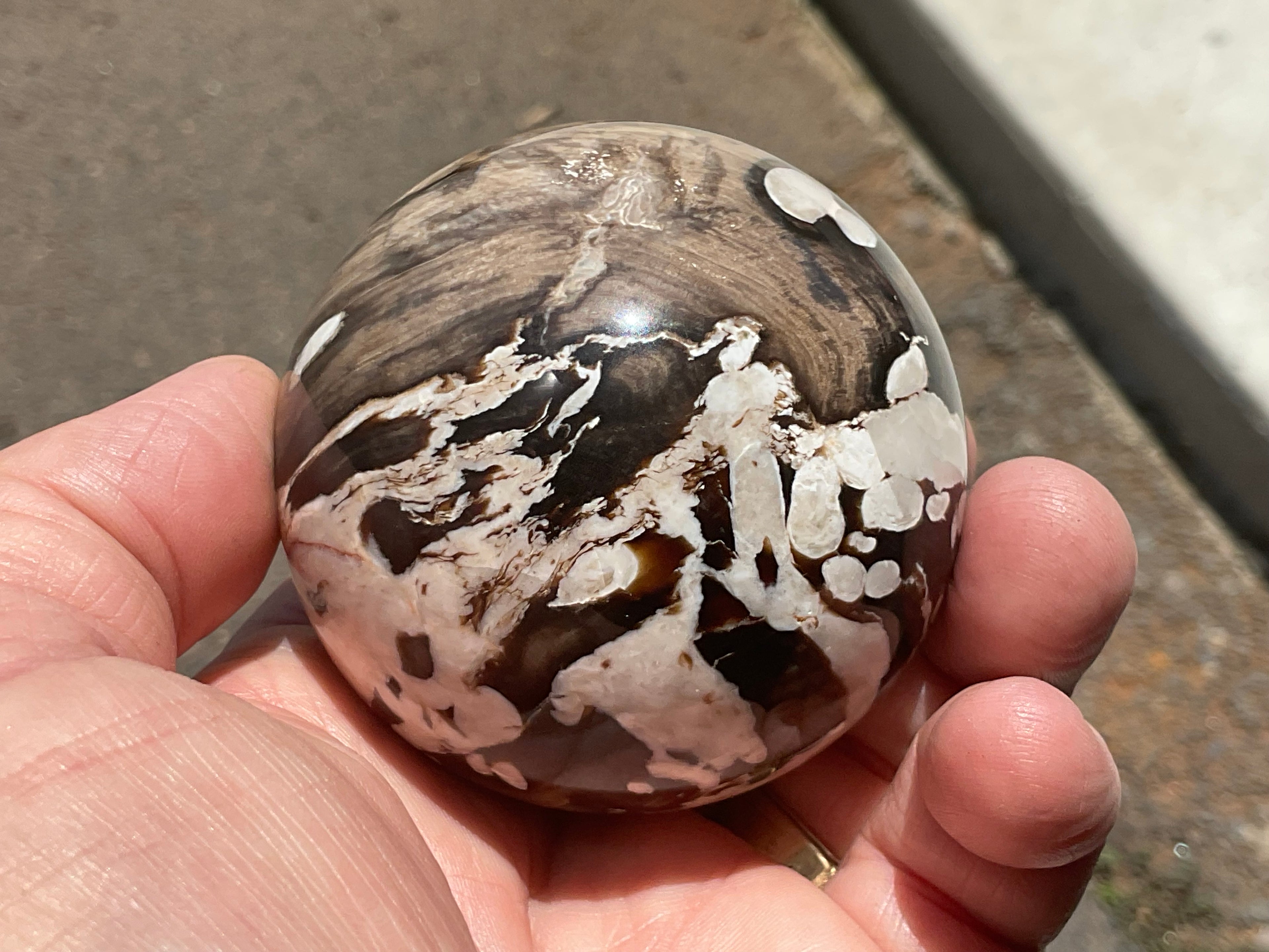 308g Western Australian “Peanut Wood” Sphere 3C