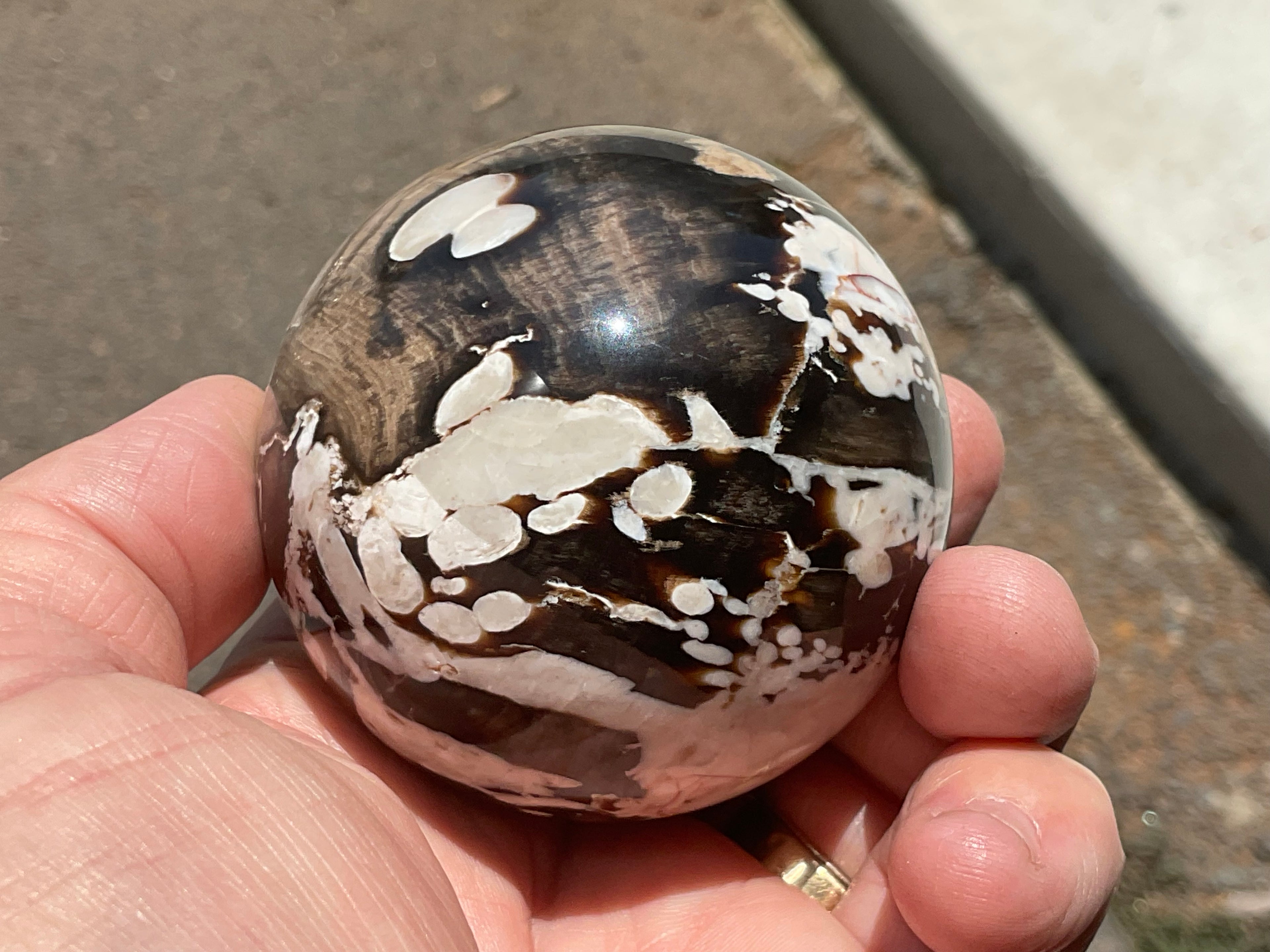 308g Western Australian “Peanut Wood” Sphere 3C