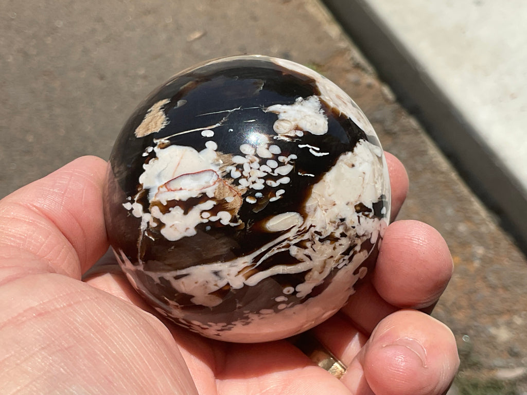 308g Western Australian “Peanut Wood” Sphere 3C