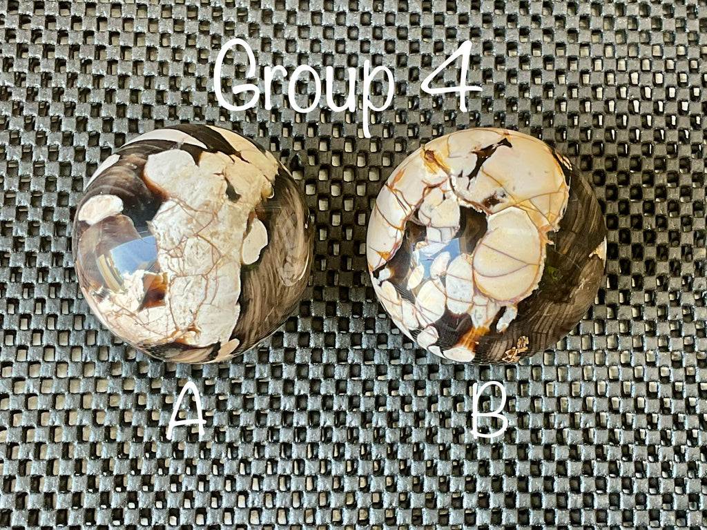 324g Western Australian “Peanut Wood” Sphere 4A