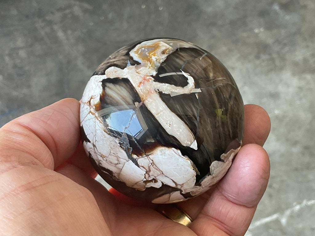 324g Western Australian “Peanut Wood” Sphere 4A